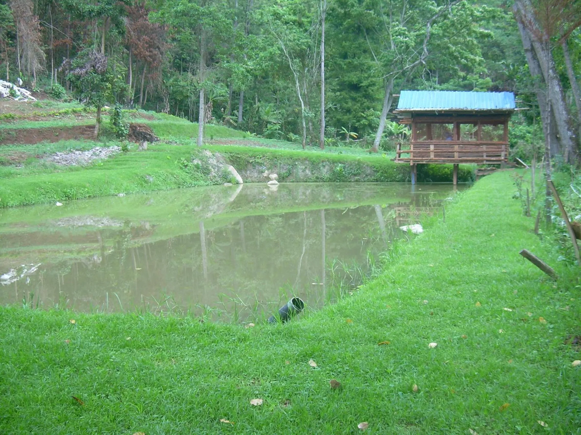 Garden in Kakakuona Resort