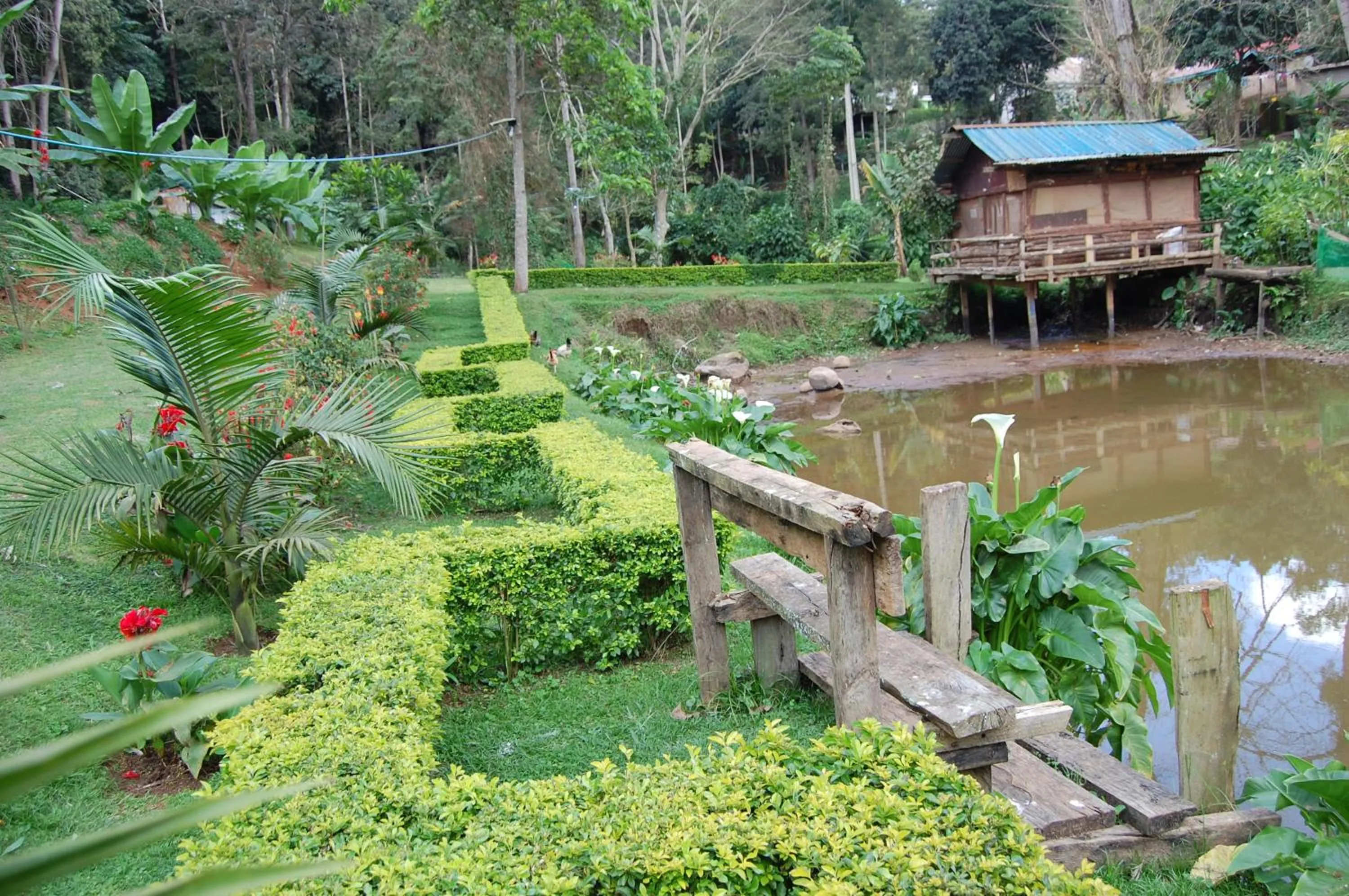 Garden view in Kakakuona Resort