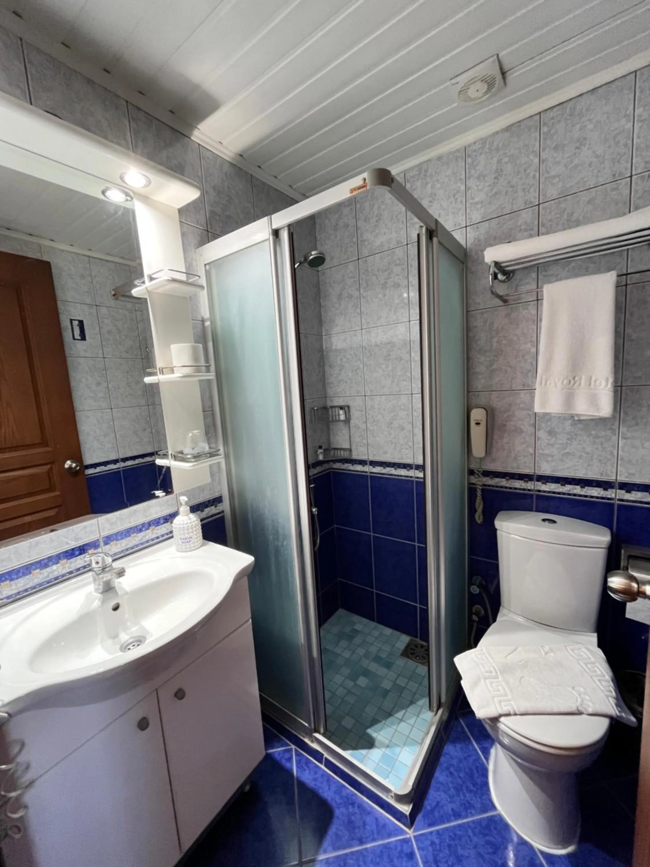 Shower in Hotel Royal Hill