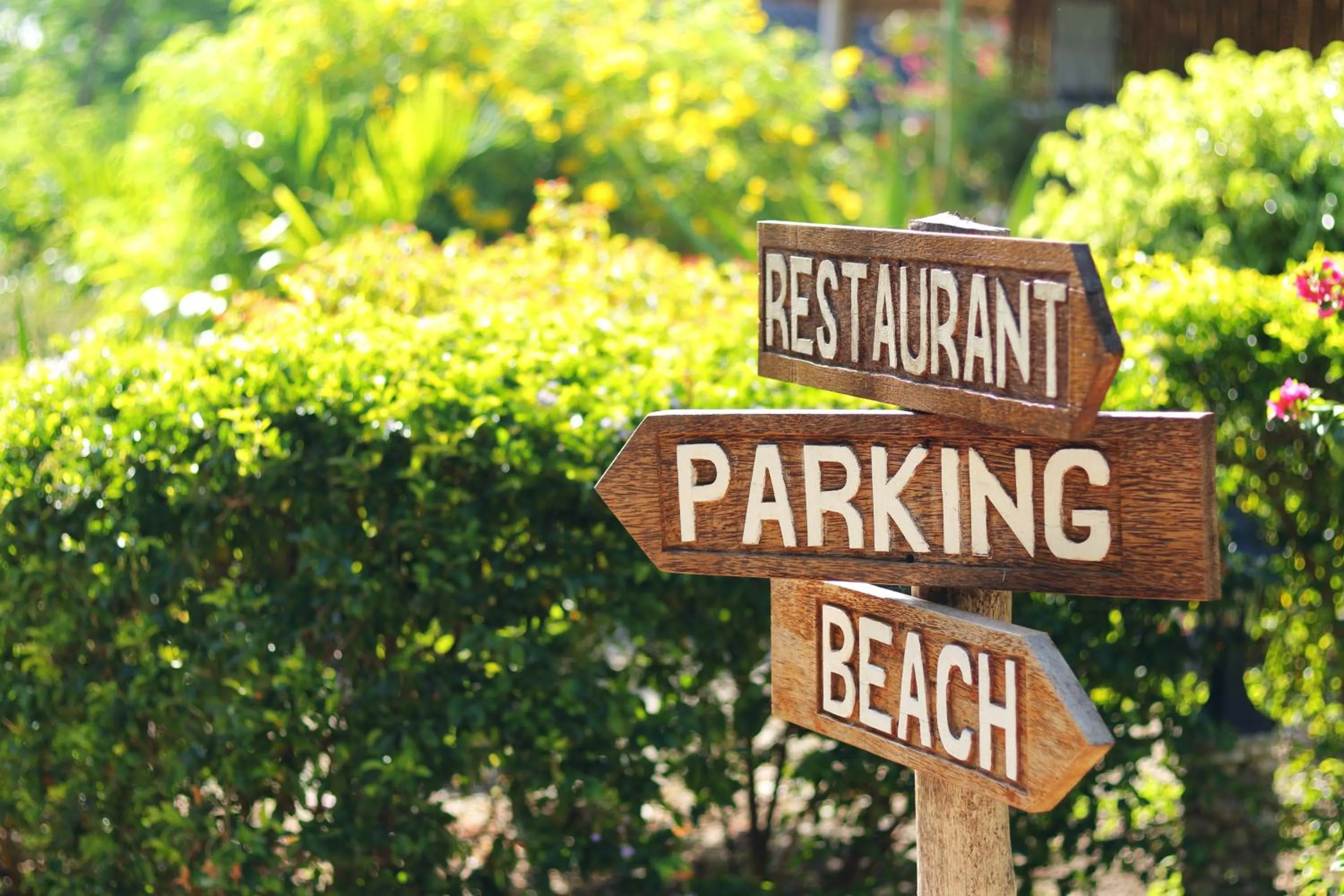 Garden in Marafiki Bungalows