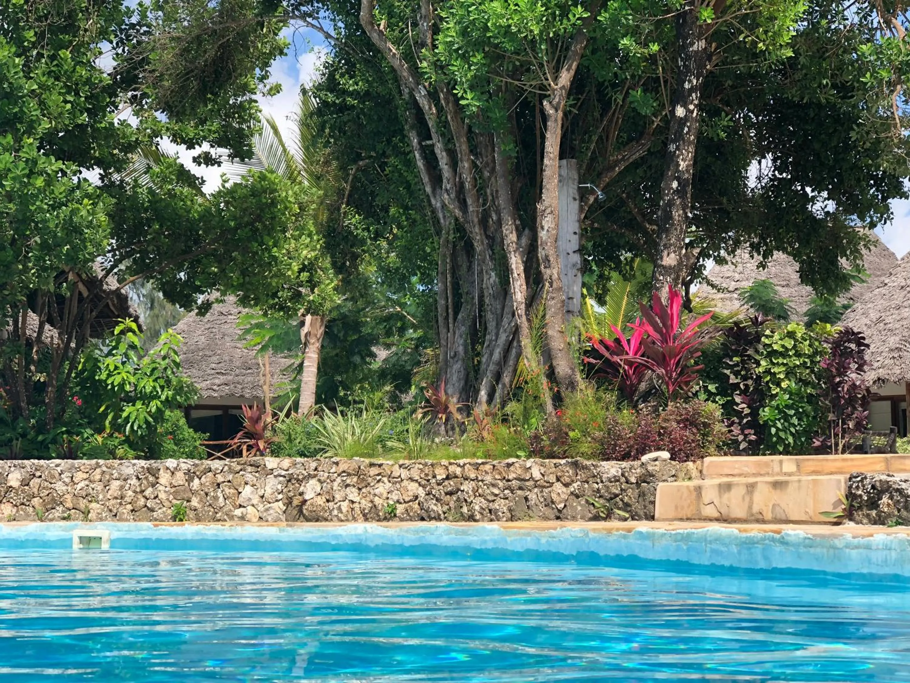Swimming pool in Marafiki Bungalows