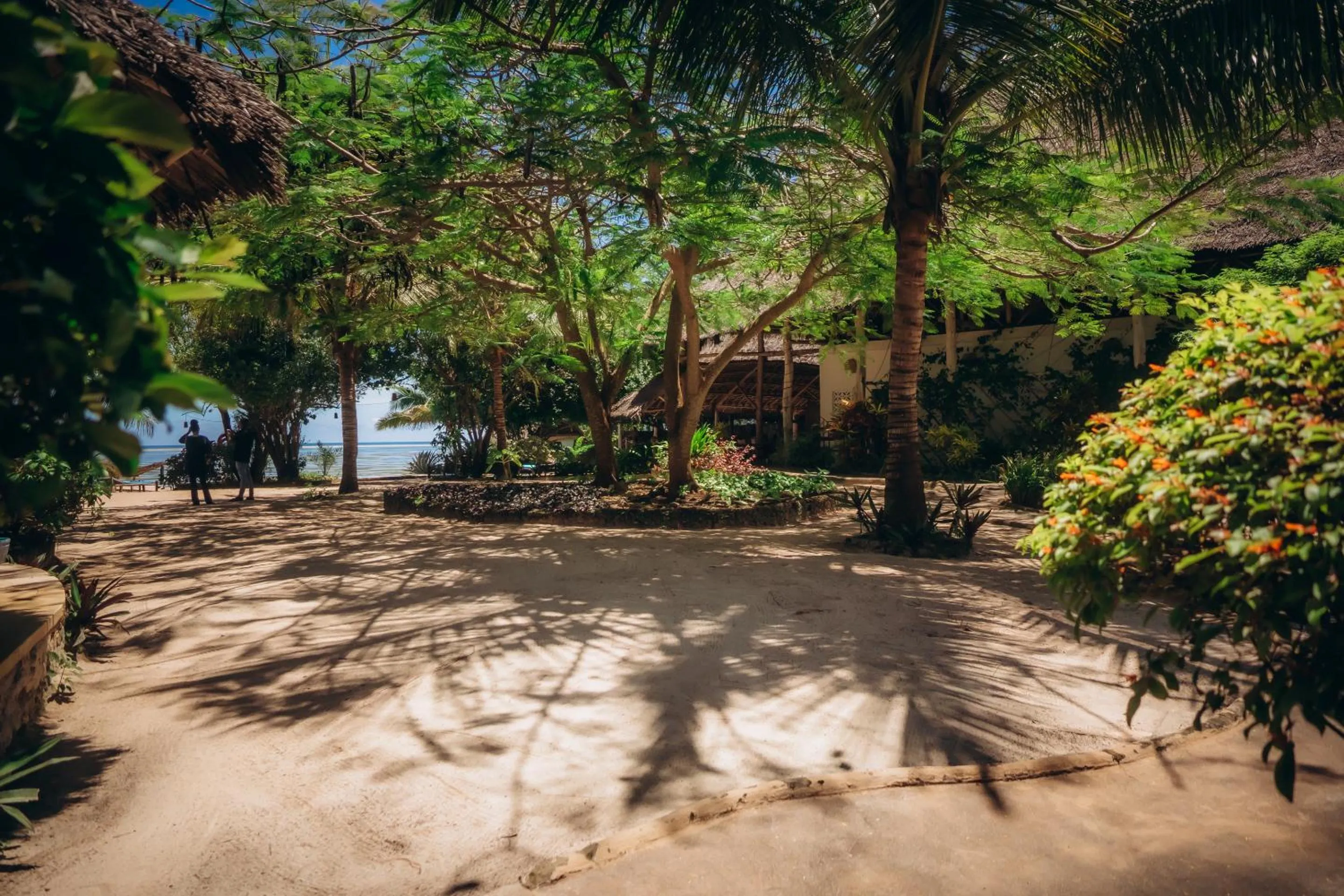 Garden in Marafiki Bungalows