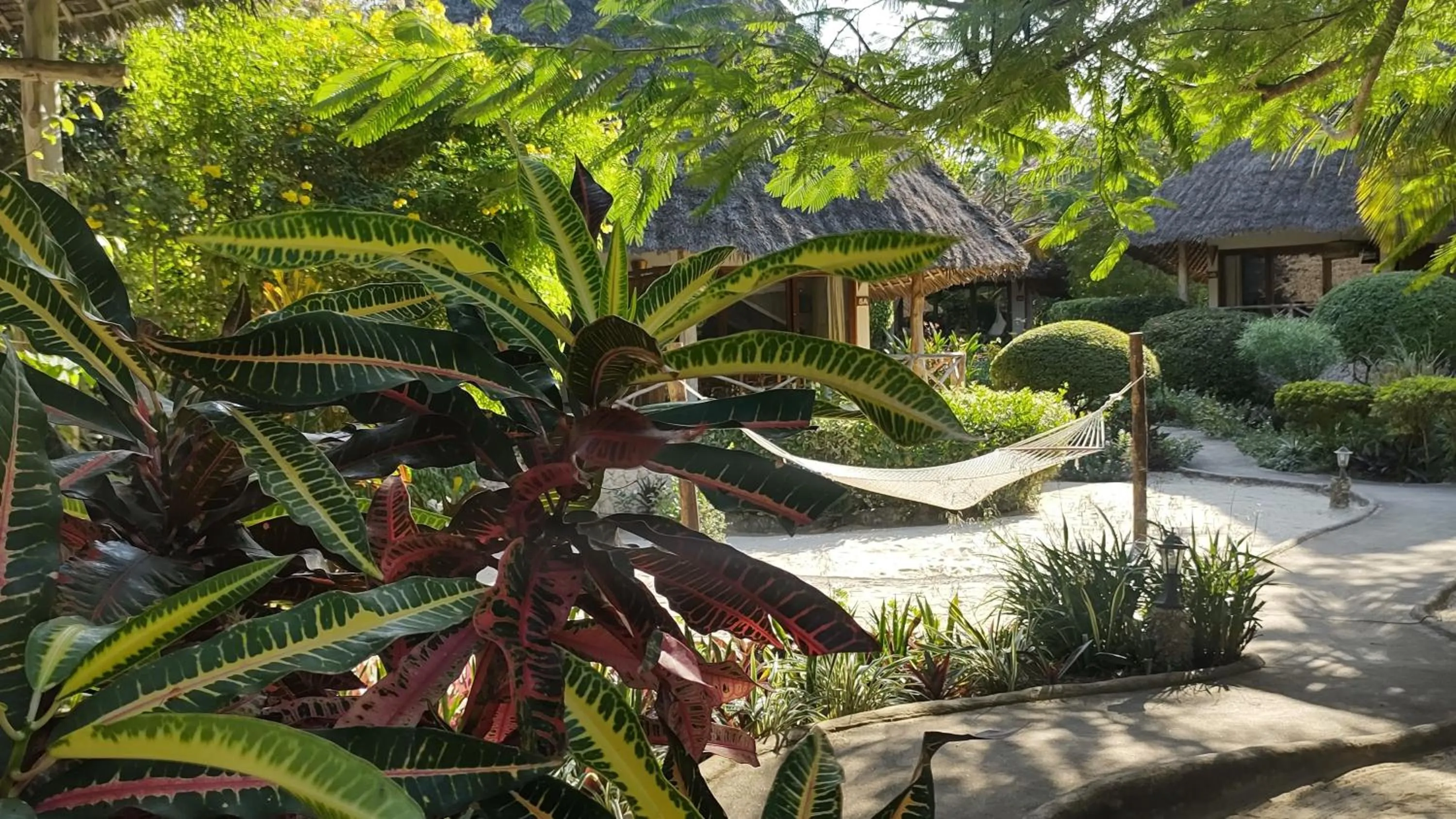 Property building in Marafiki Bungalows