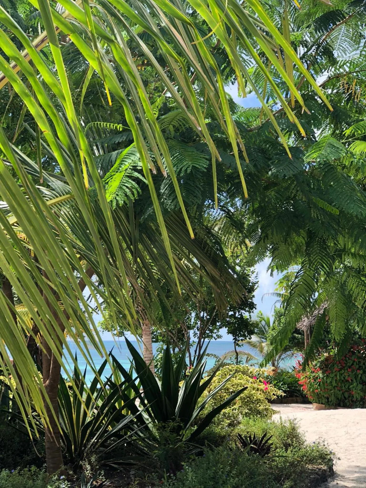 Garden in Marafiki Bungalows