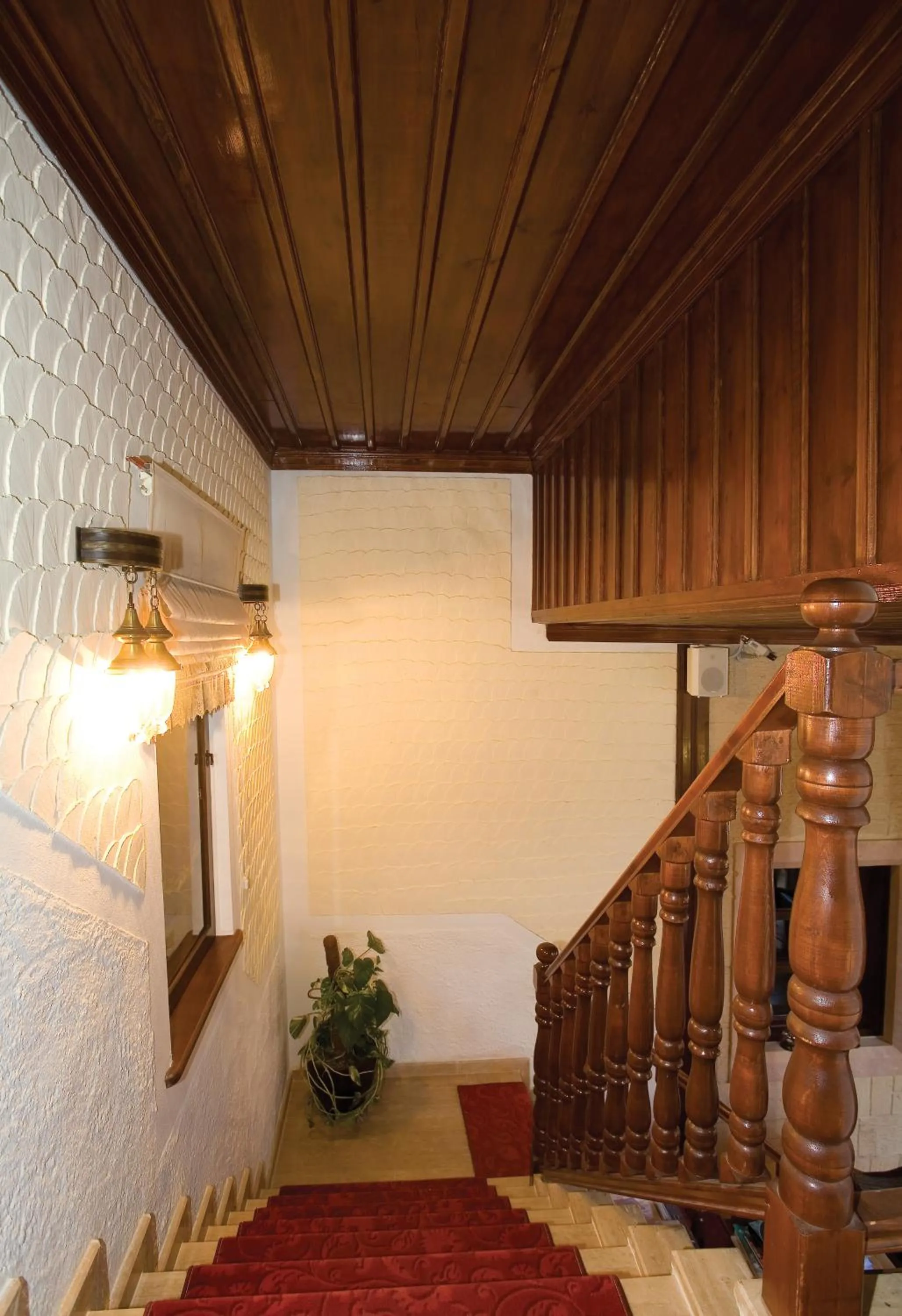 Facade/entrance in Cicerone Lodge Hotel