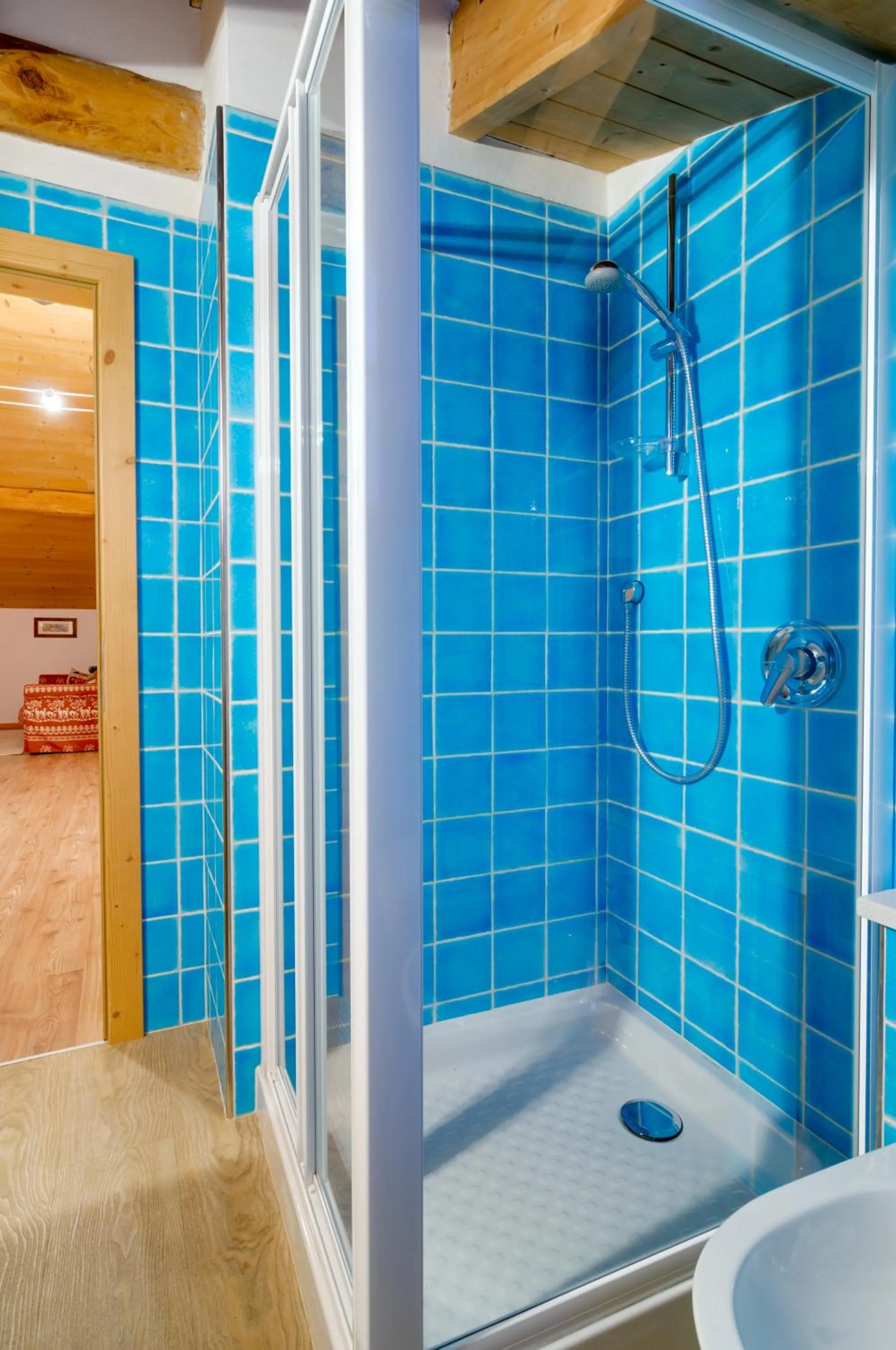 Shower in Apartments Trettel