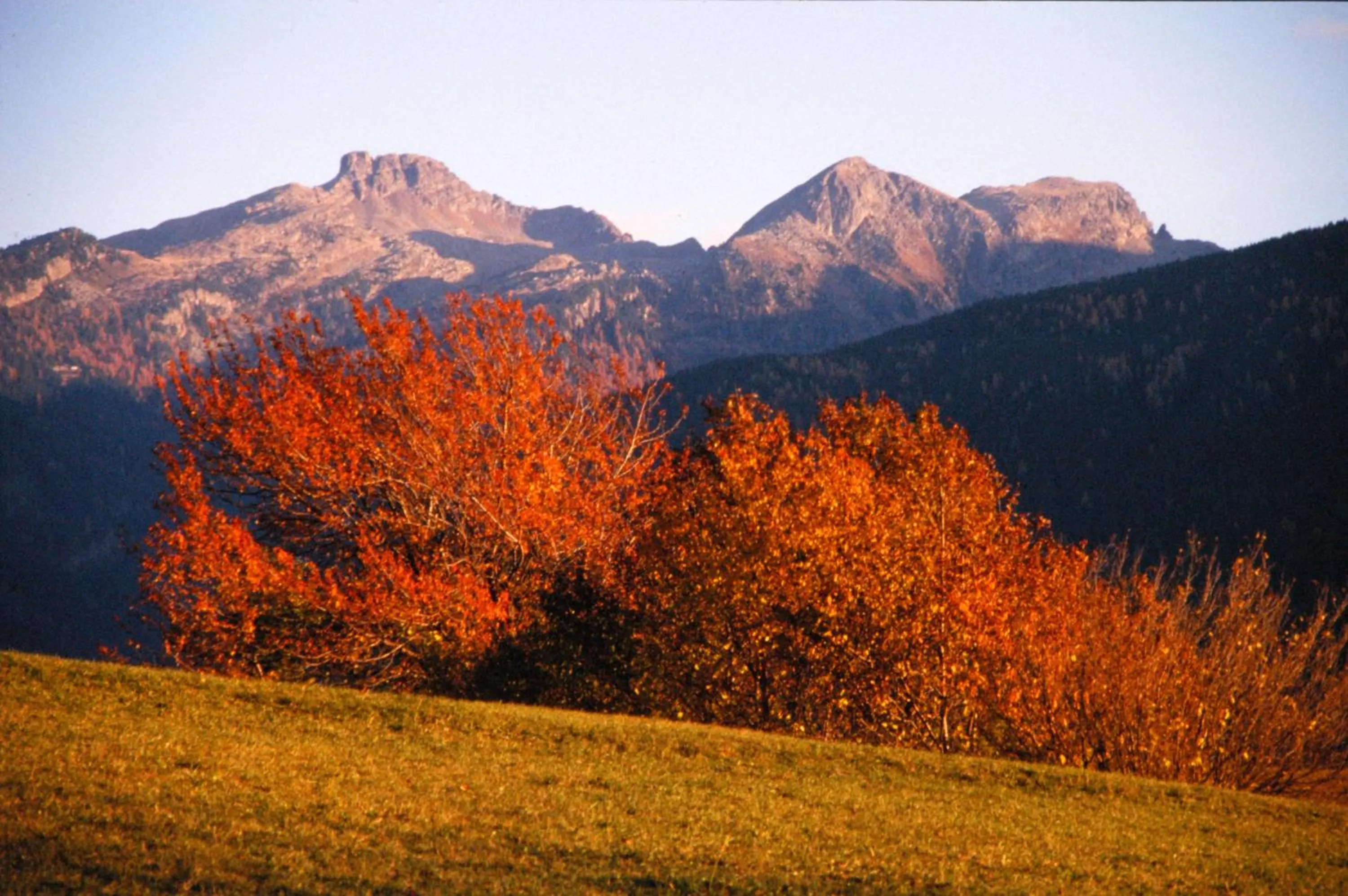 Mountain view in Apartments Trettel