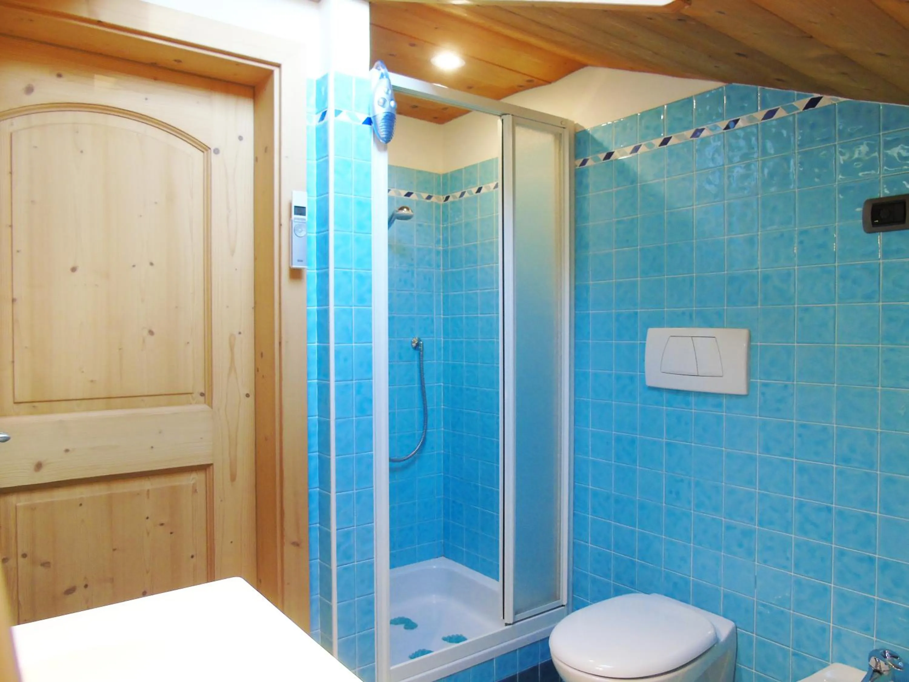 Shower in Apartments Trettel