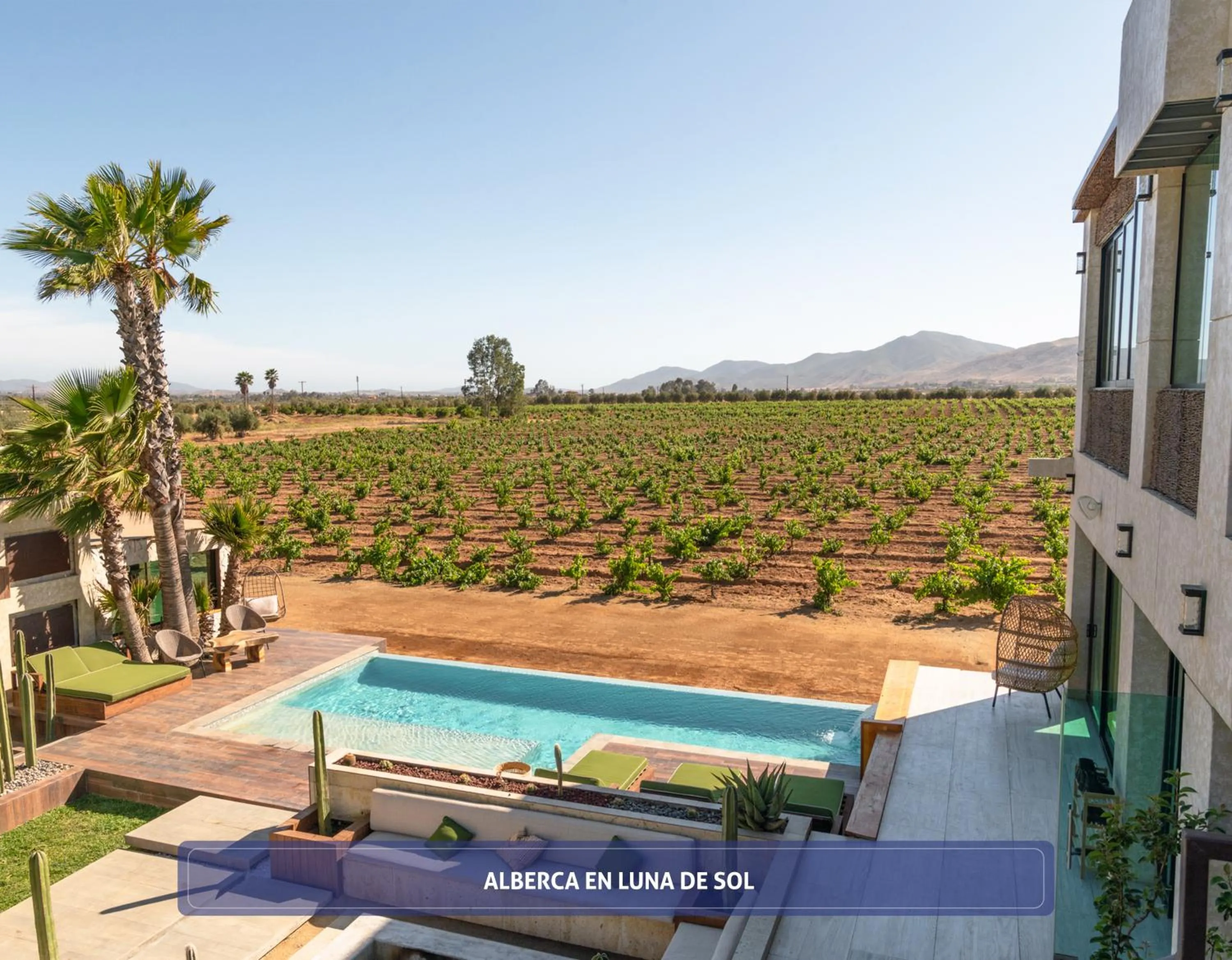 Pool view in Entre Viñedos by Hotel Boutique Valle de Guadalupe