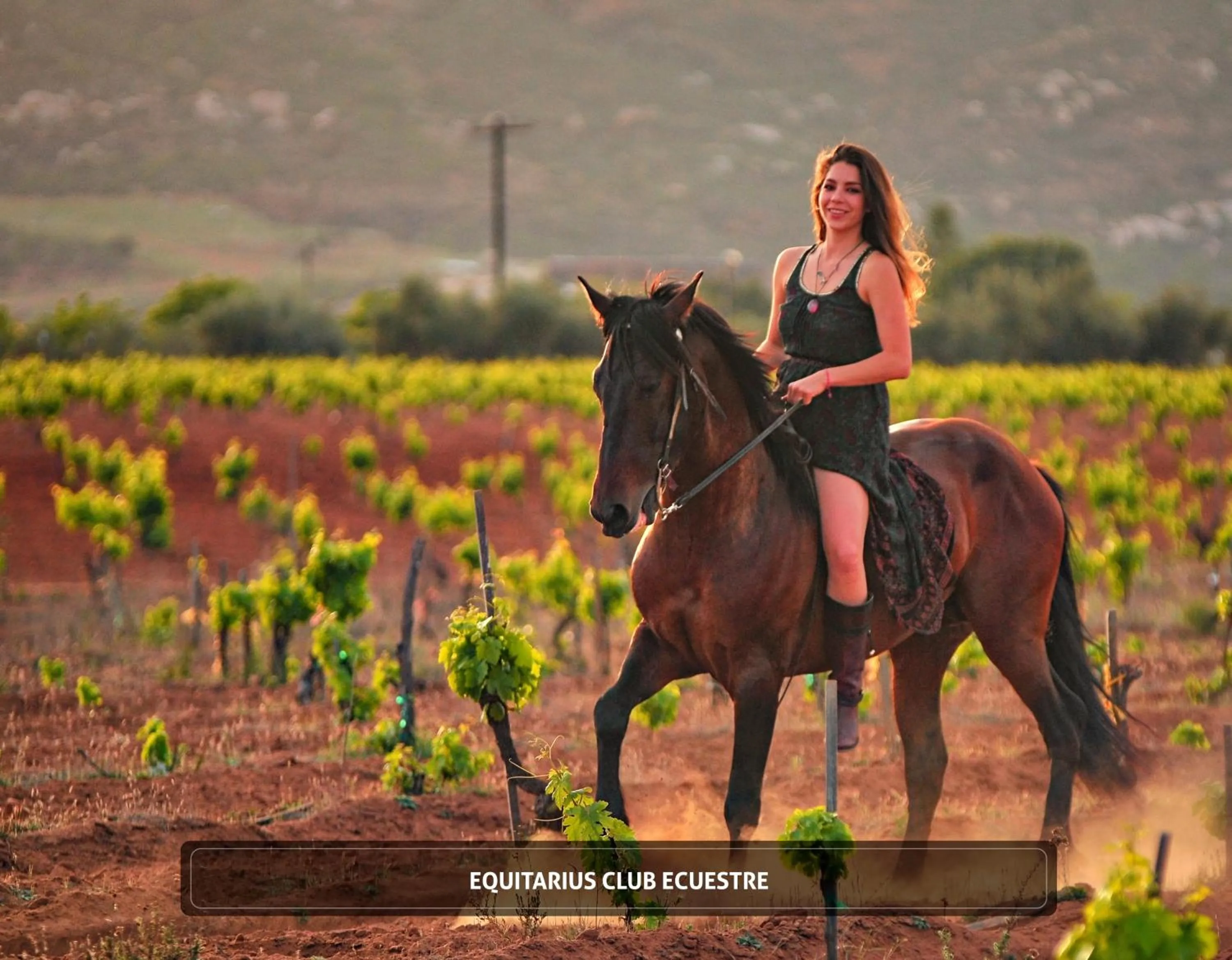 Horse-riding in Entre Viñedos by Hotel Boutique Valle de Guadalupe