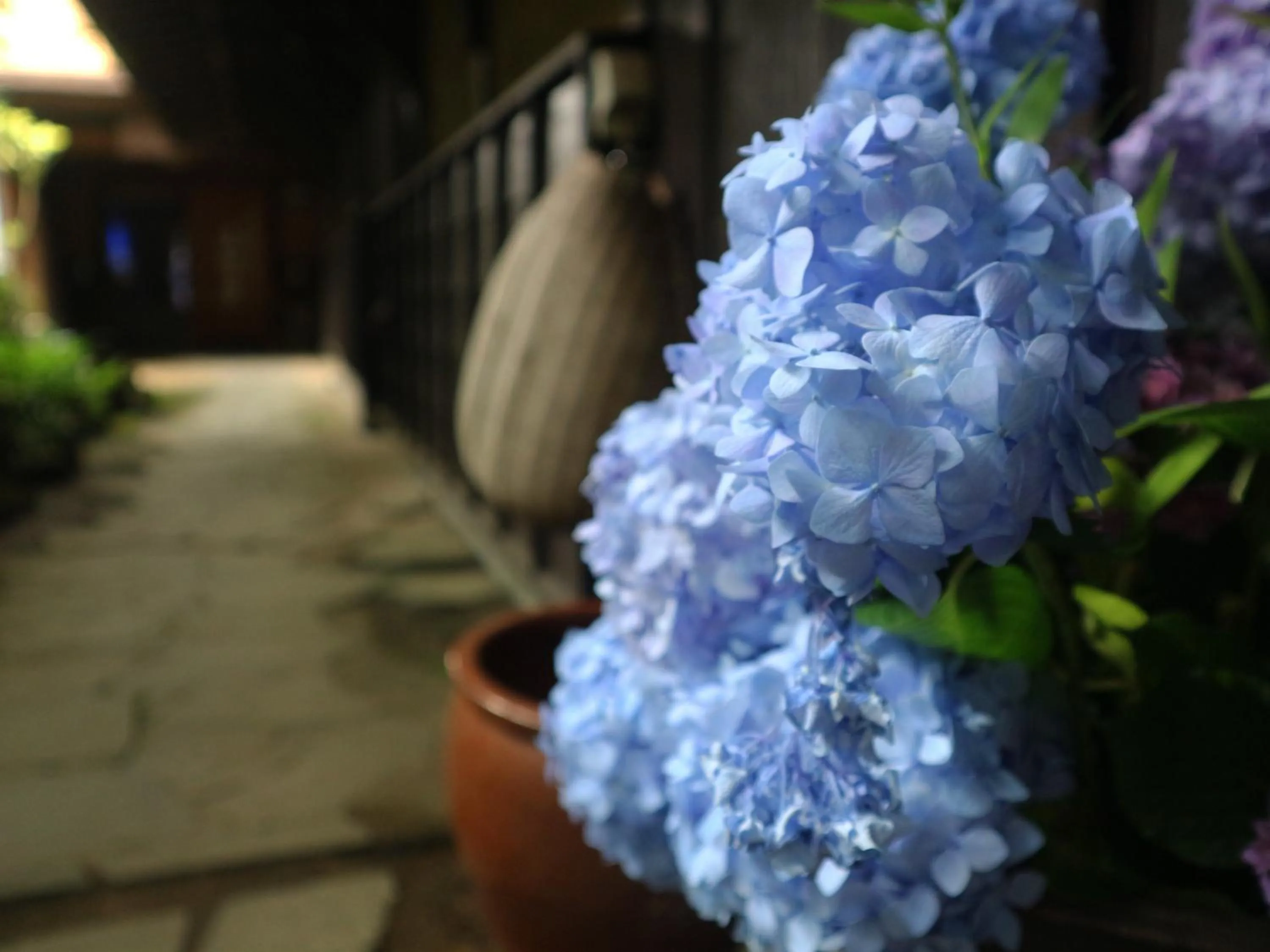 Garden in Yunohira Kamiyanagiya