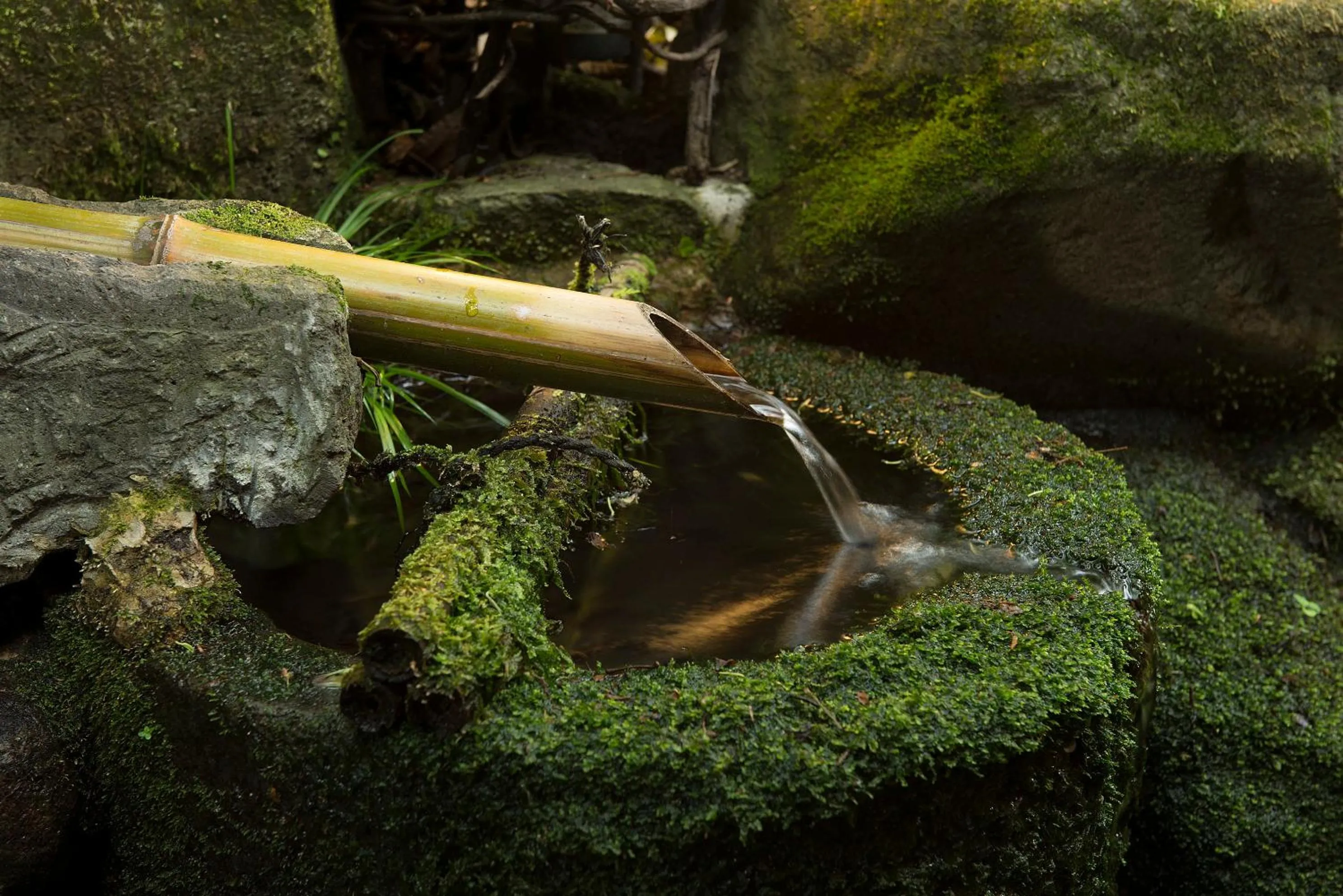 Natural landscape in Yunohira Kamiyanagiya