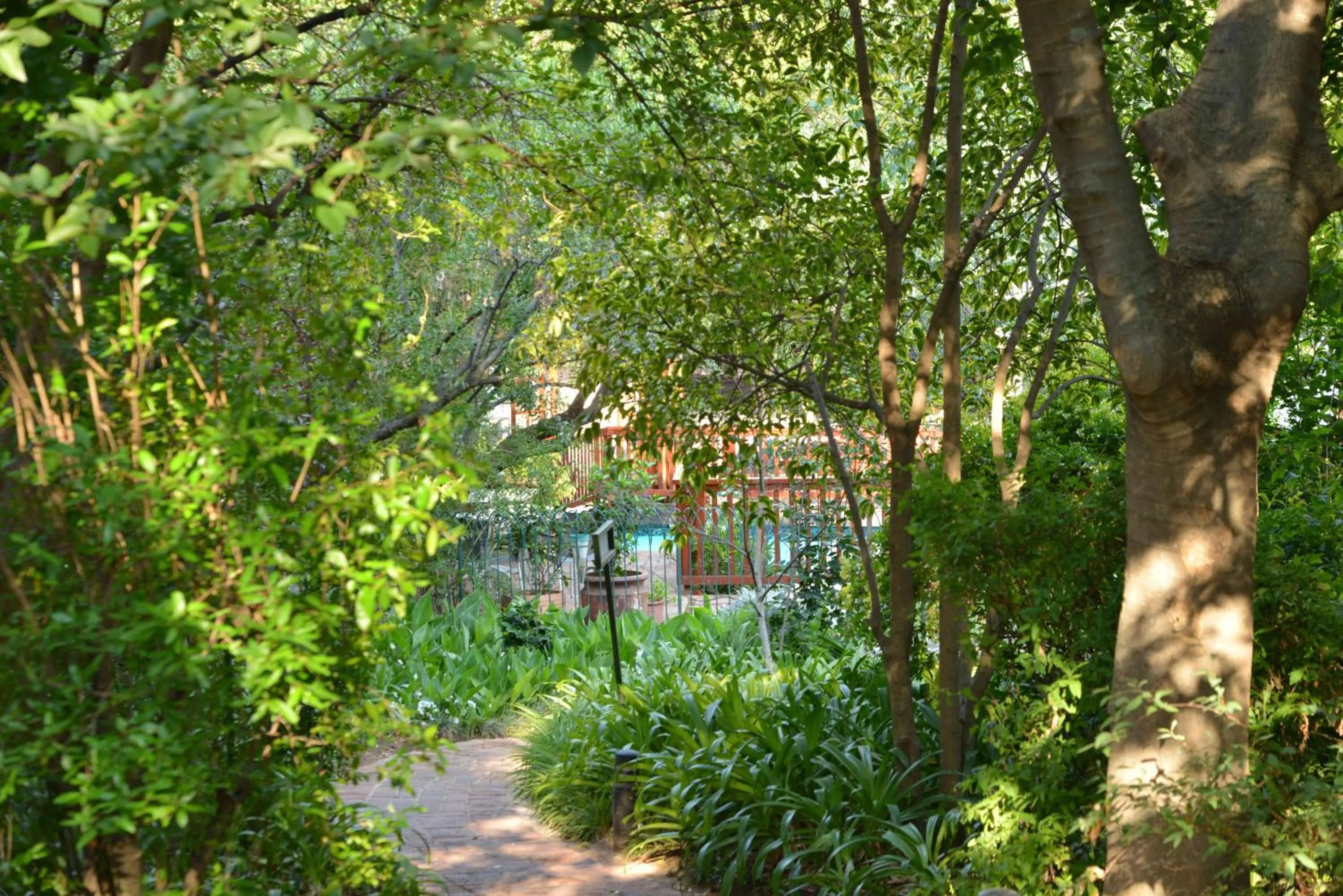 Natural landscape in Rivonia Premier Lodge