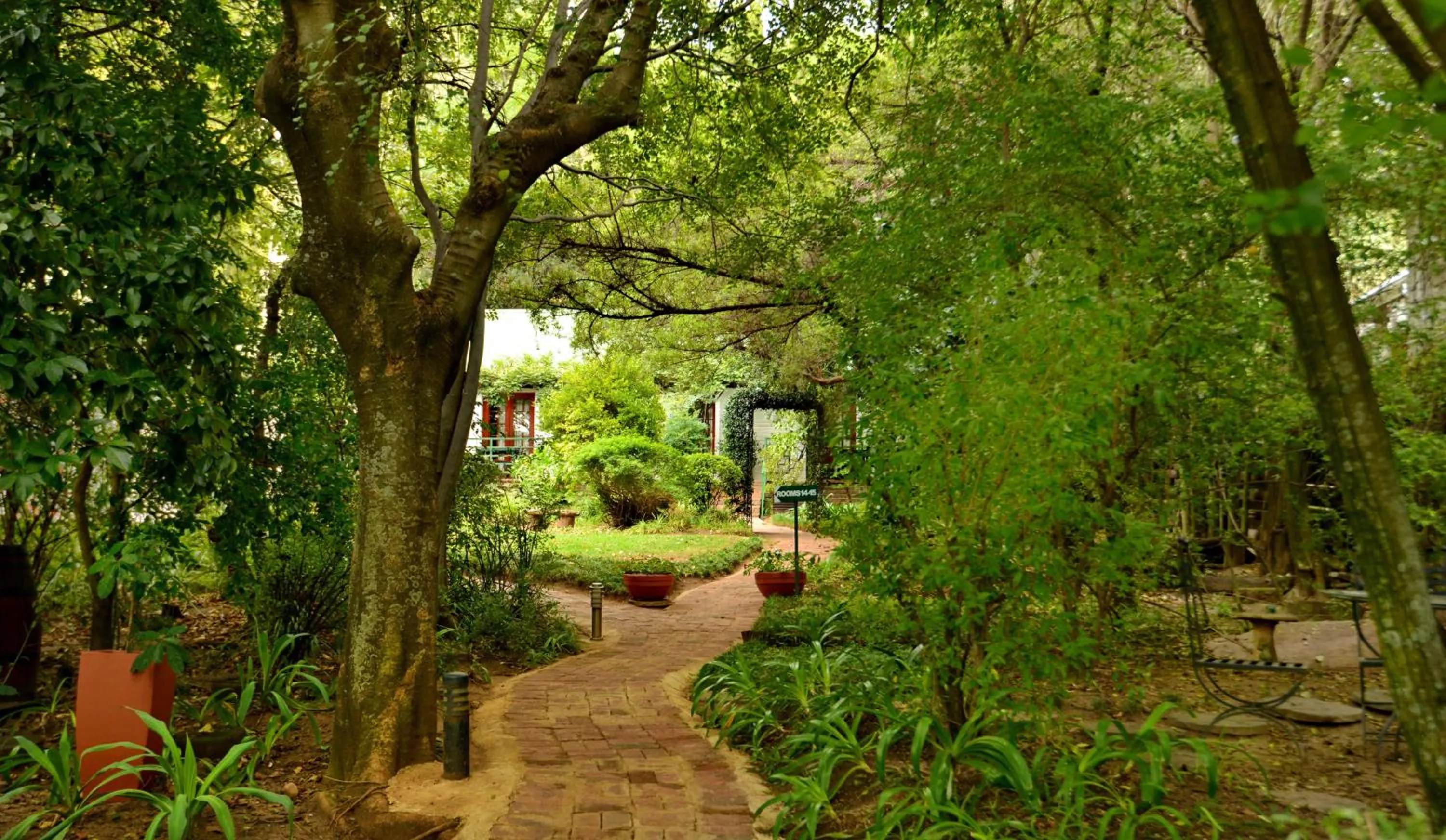 View (from property/room) in Rivonia Premier Lodge