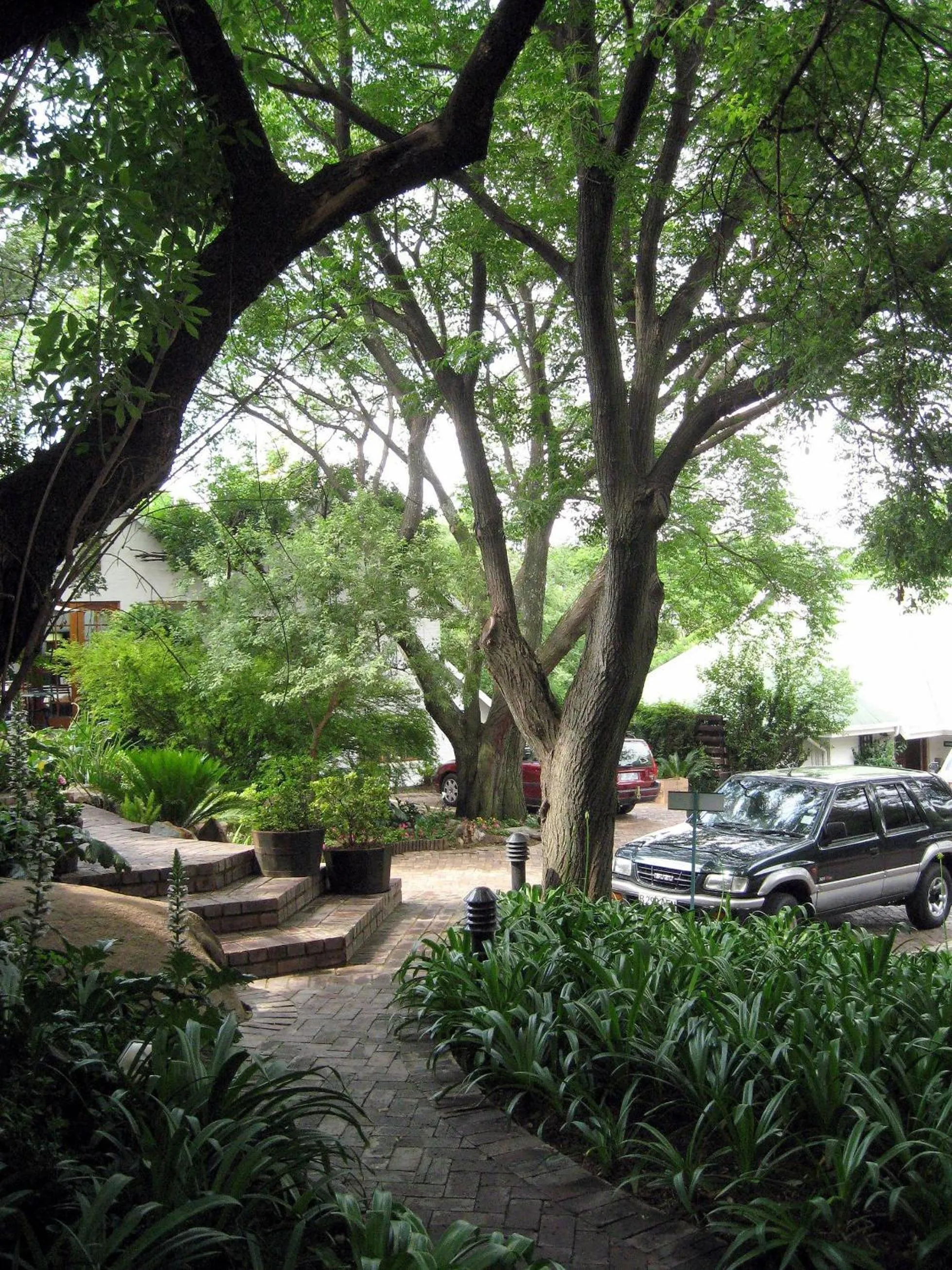 Garden in Rivonia Premier Lodge