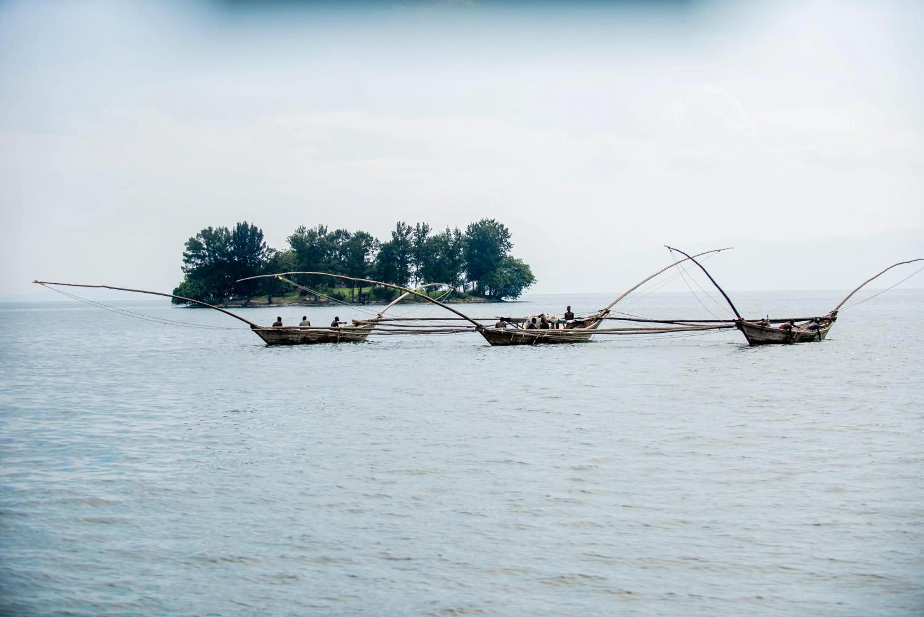 Fishing in Paradise Malahide