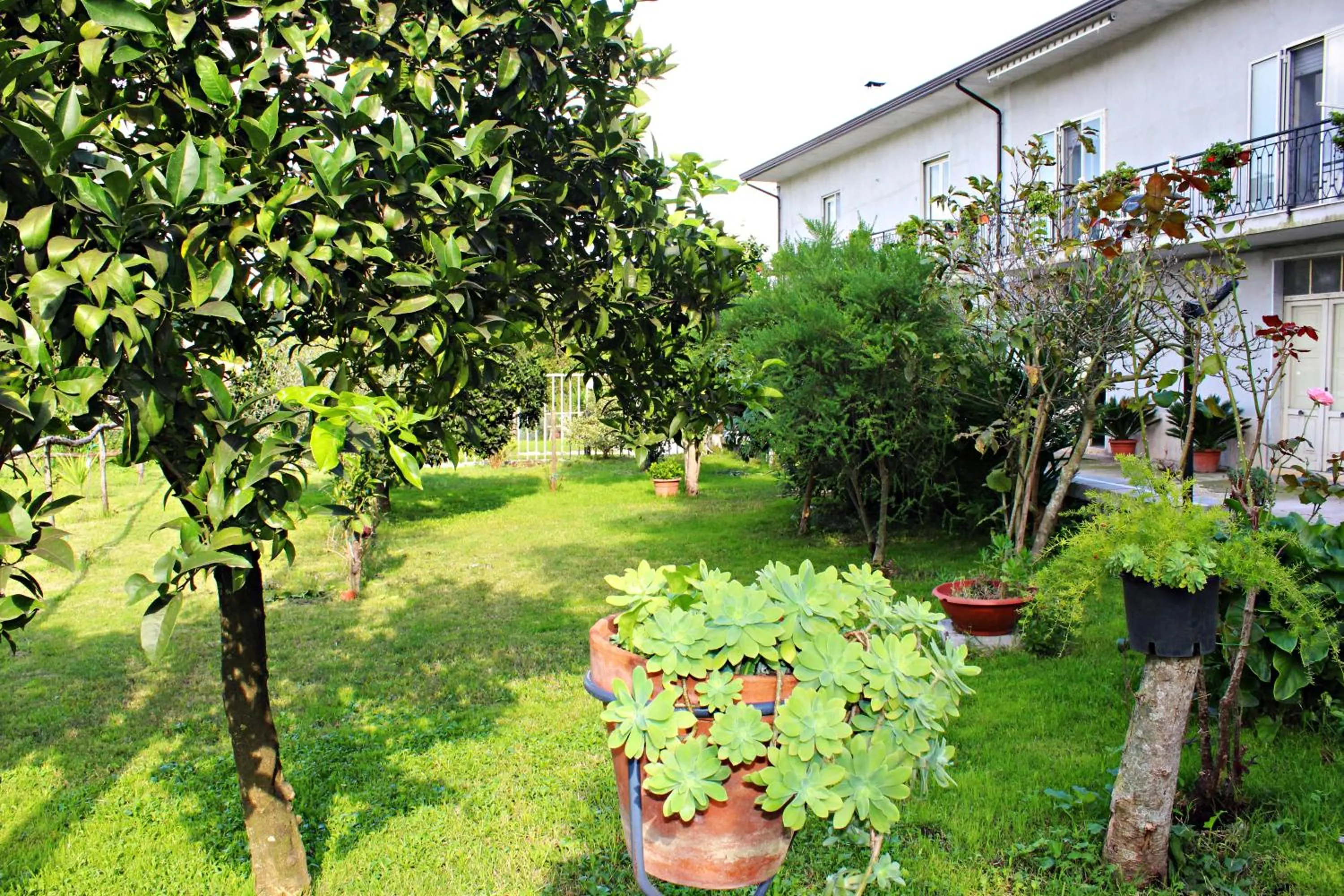 Property building in Il Moro Bianco