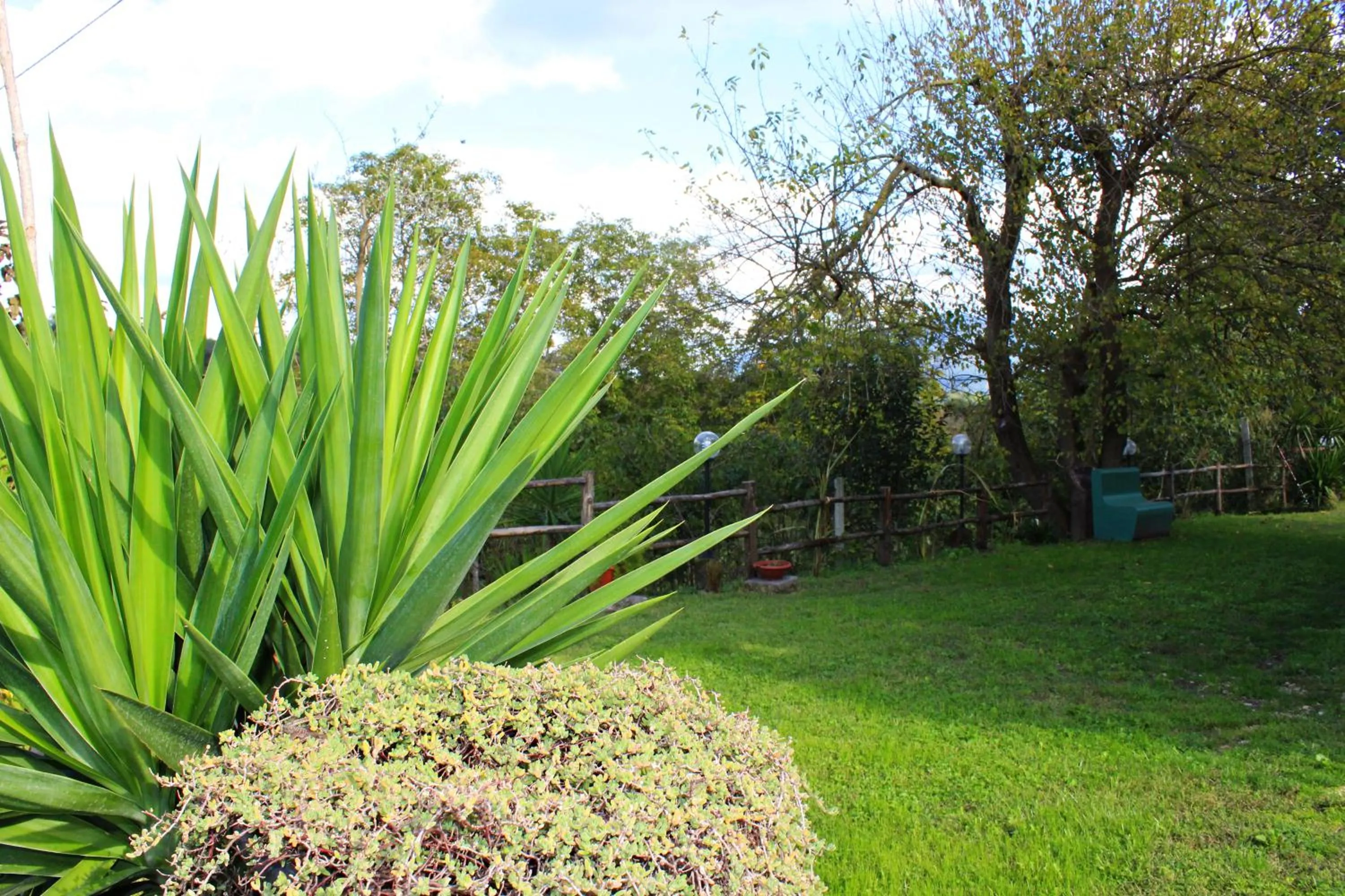 Garden in Il Moro Bianco