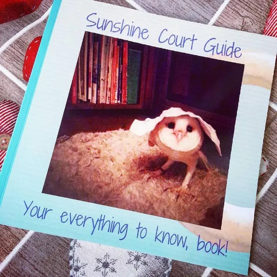 Sunshine Court Sunshine Court