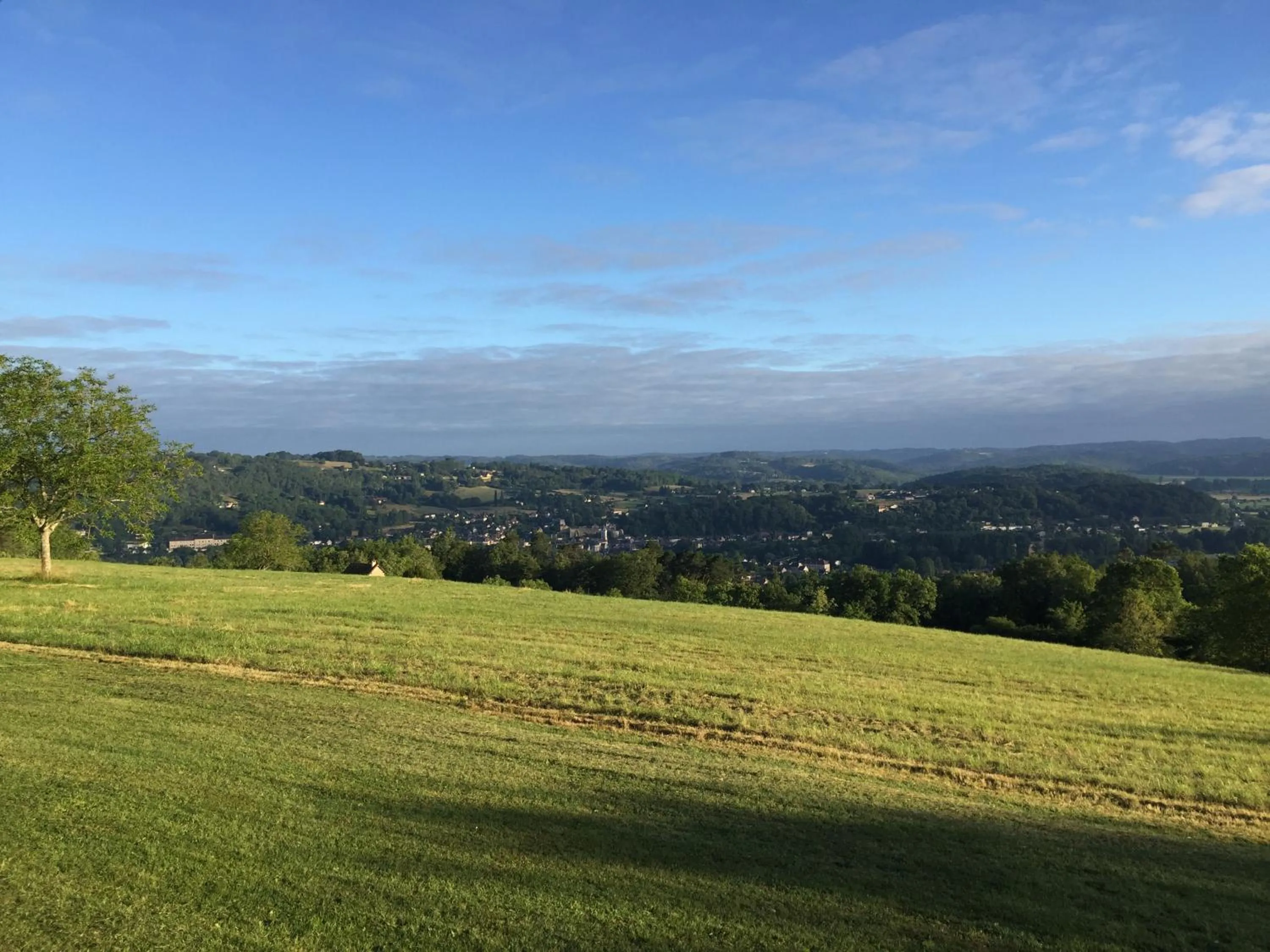 Garden in Domaine de Lascaux