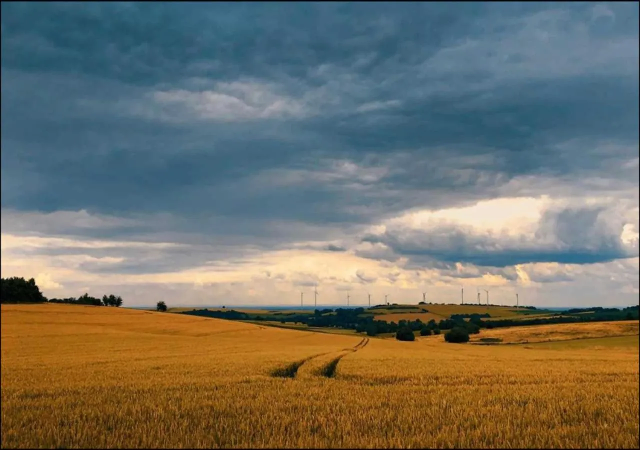 Nearby landmark in Seeblick Hotel am See