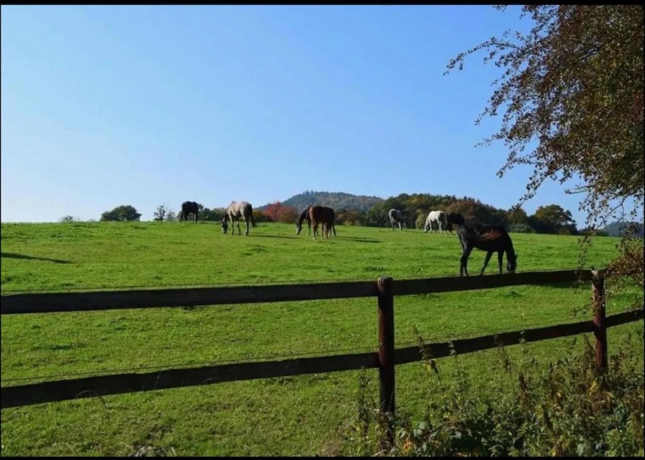 Nearby landmark in Seeblick Hotel am See