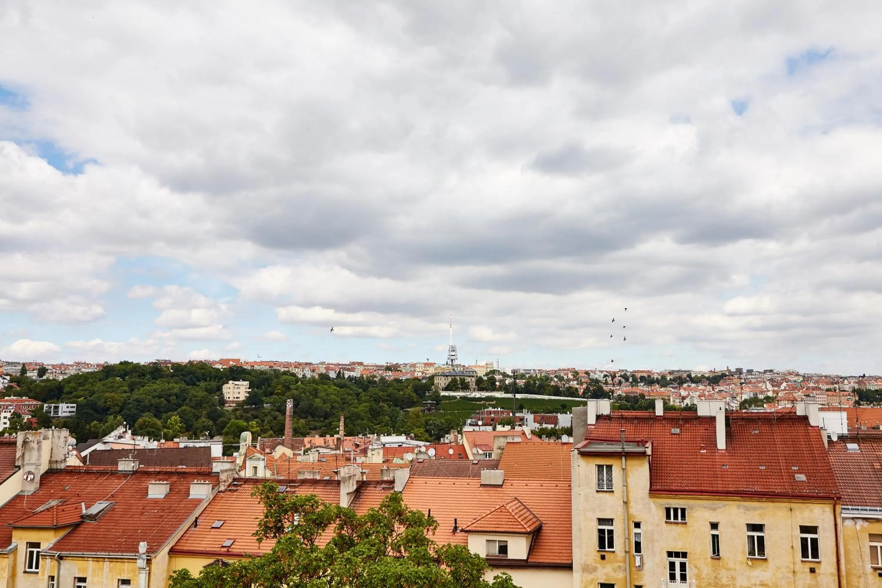 Day in Kasablanka apartments