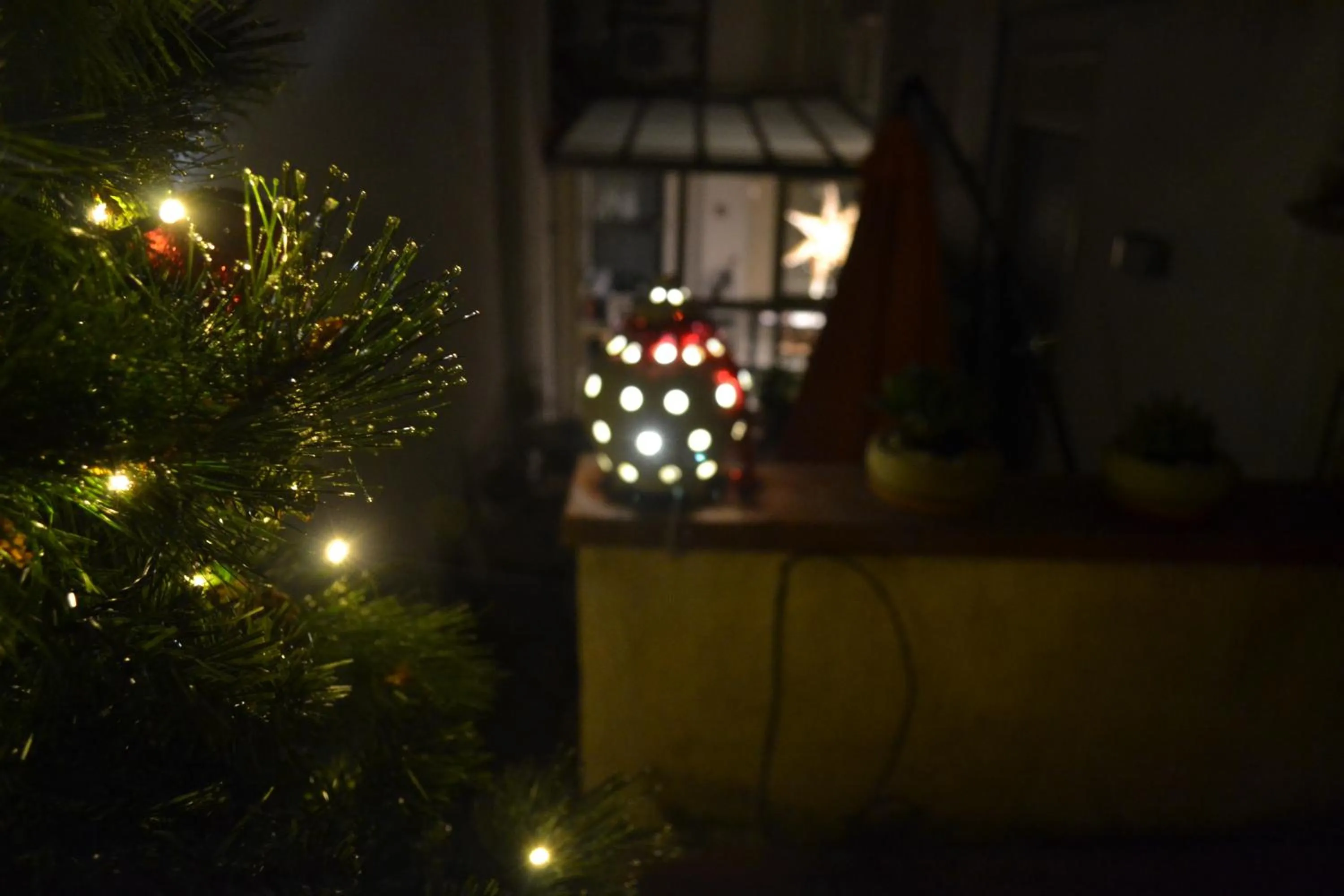 Garden in Il Cortiletto Di Piazza Verga