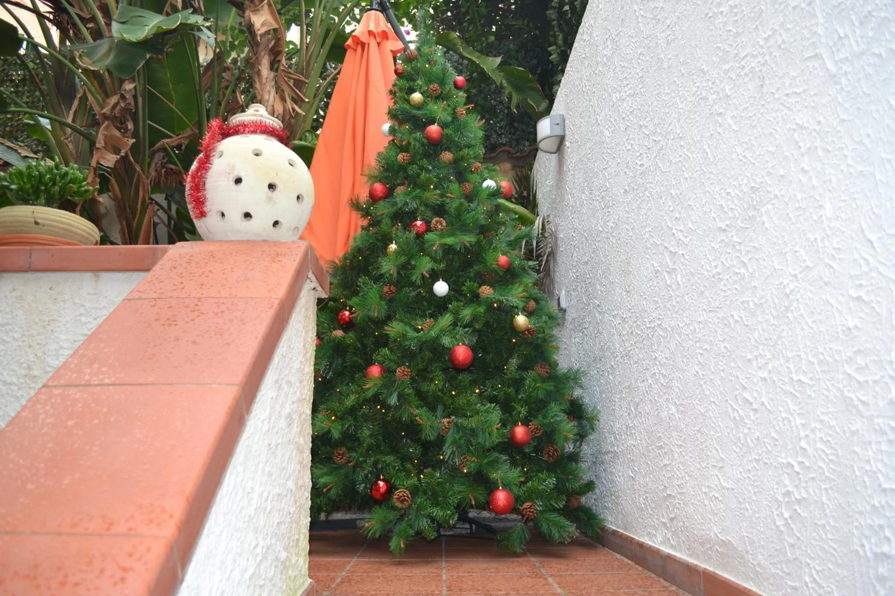 Garden in Il Cortiletto Di Piazza Verga