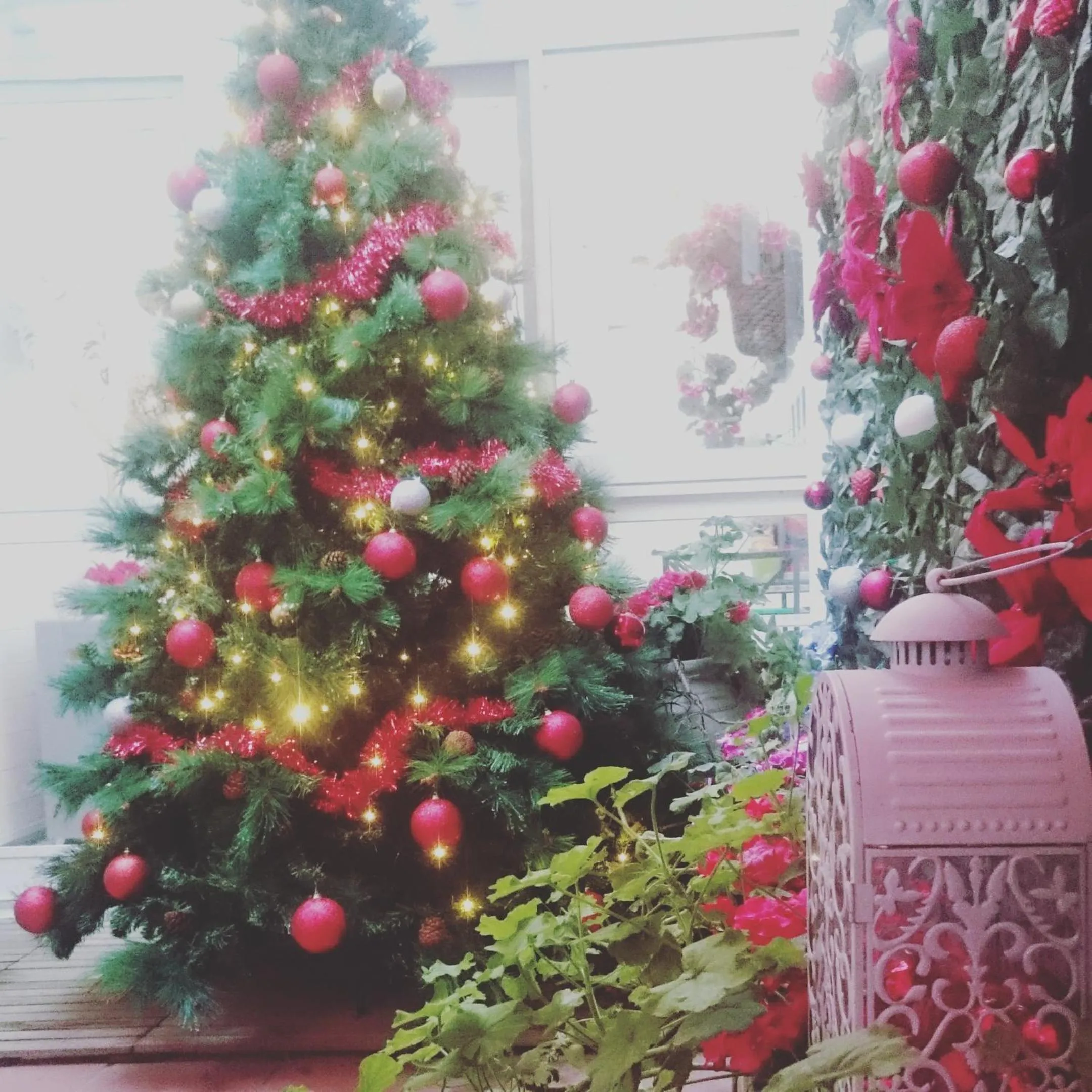 Garden in Il Cortiletto Di Piazza Verga