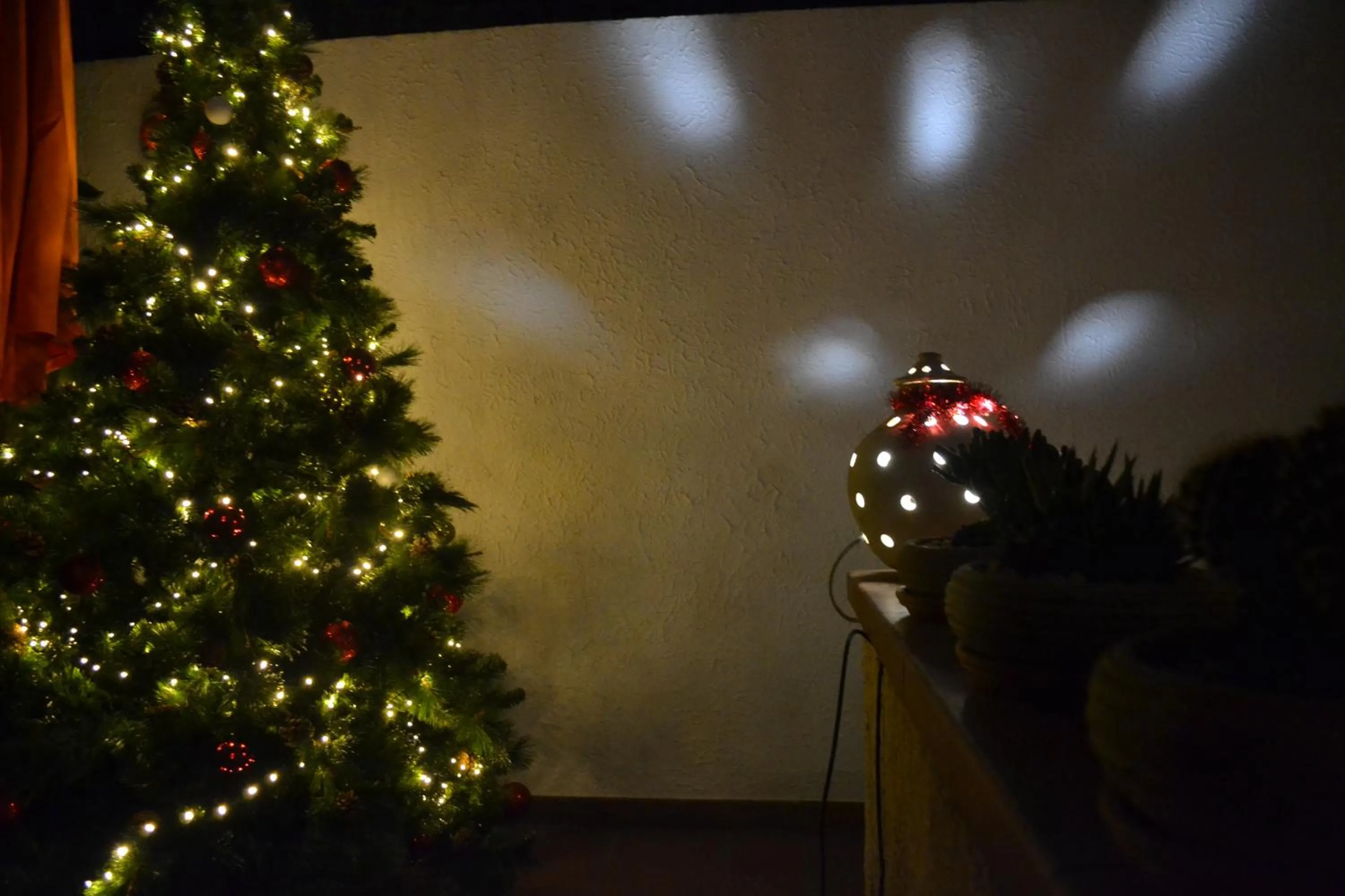 Garden in Il Cortiletto Di Piazza Verga