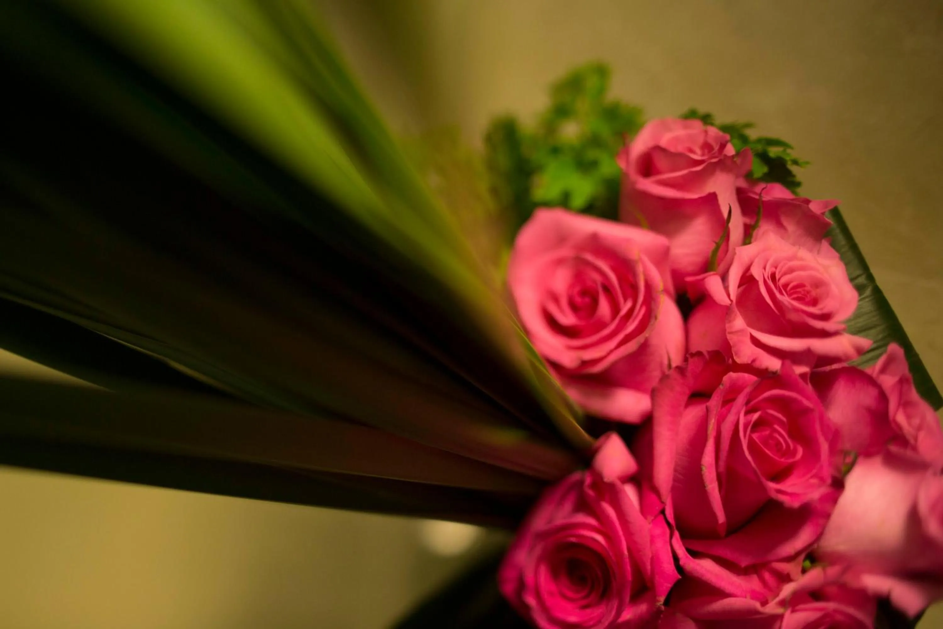 Other in iclub To Kwa Wan Hotel