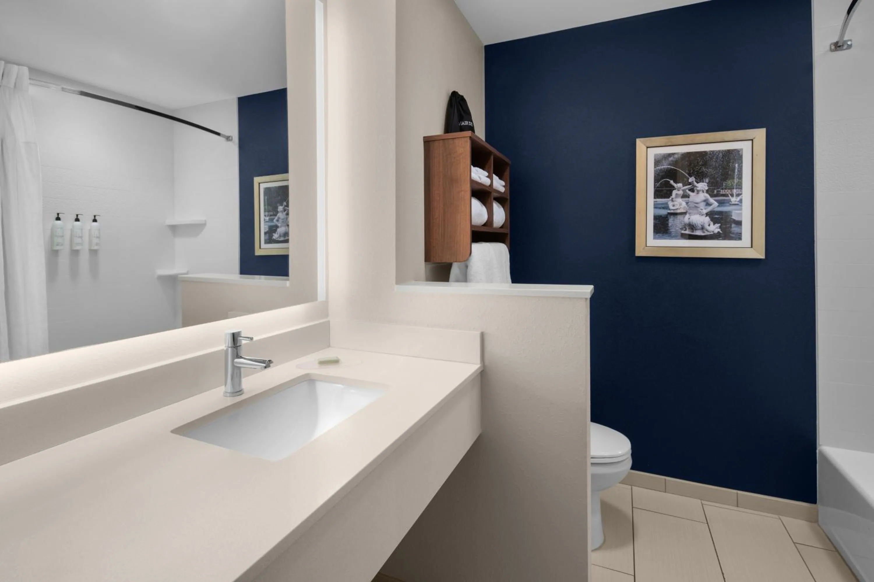 Bathroom in Fairfield Inn & Suites by Marriott Savannah Downtown Historic District