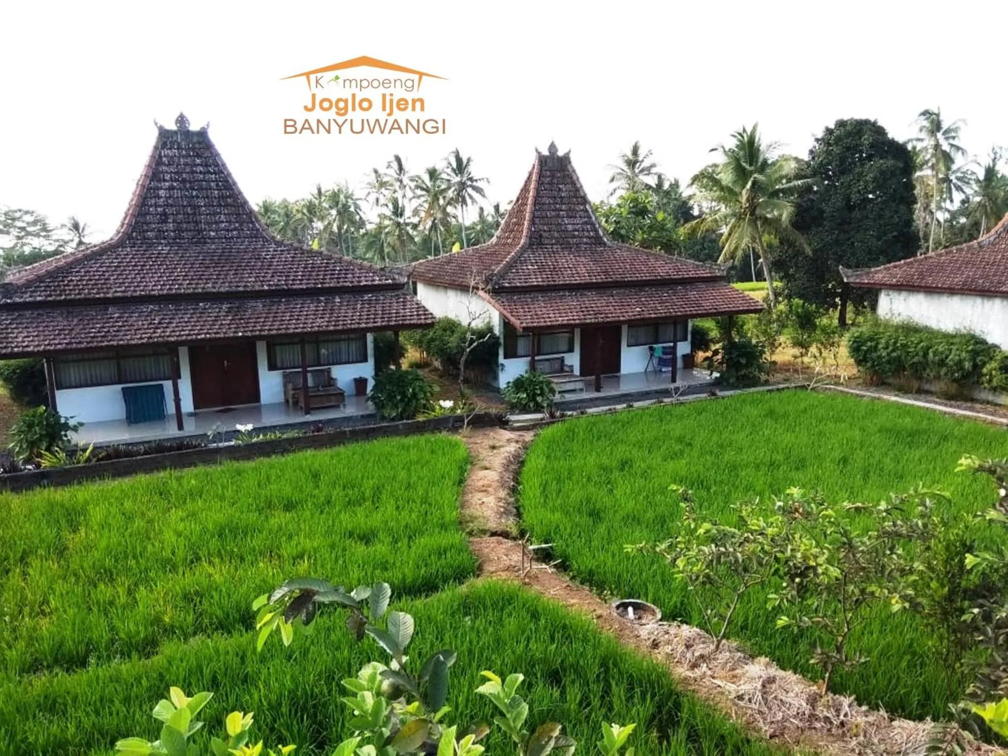Garden view in Kampoeng Joglo Ijen