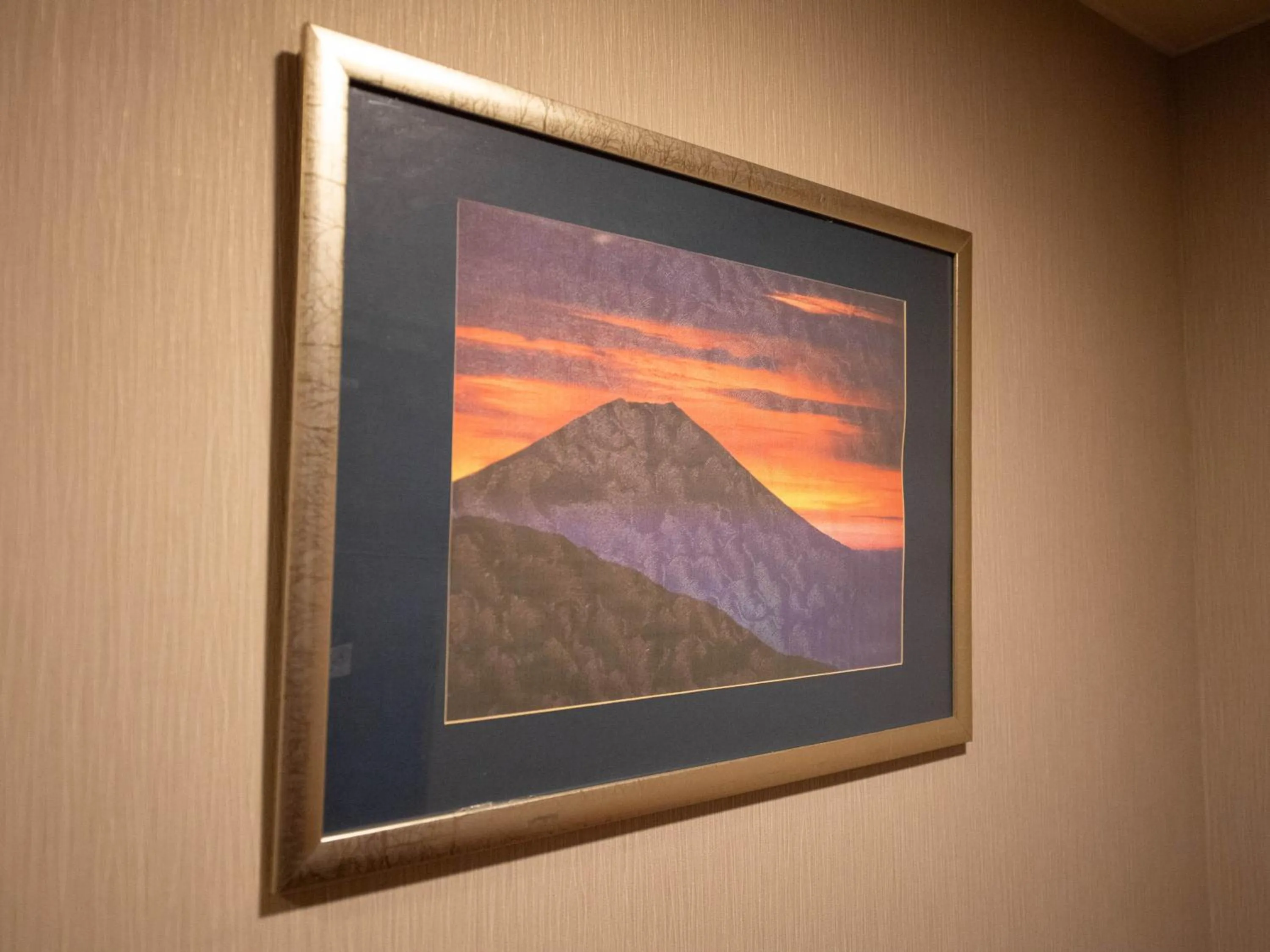 Photo of the whole room in Fuji Matsuzono Hotel