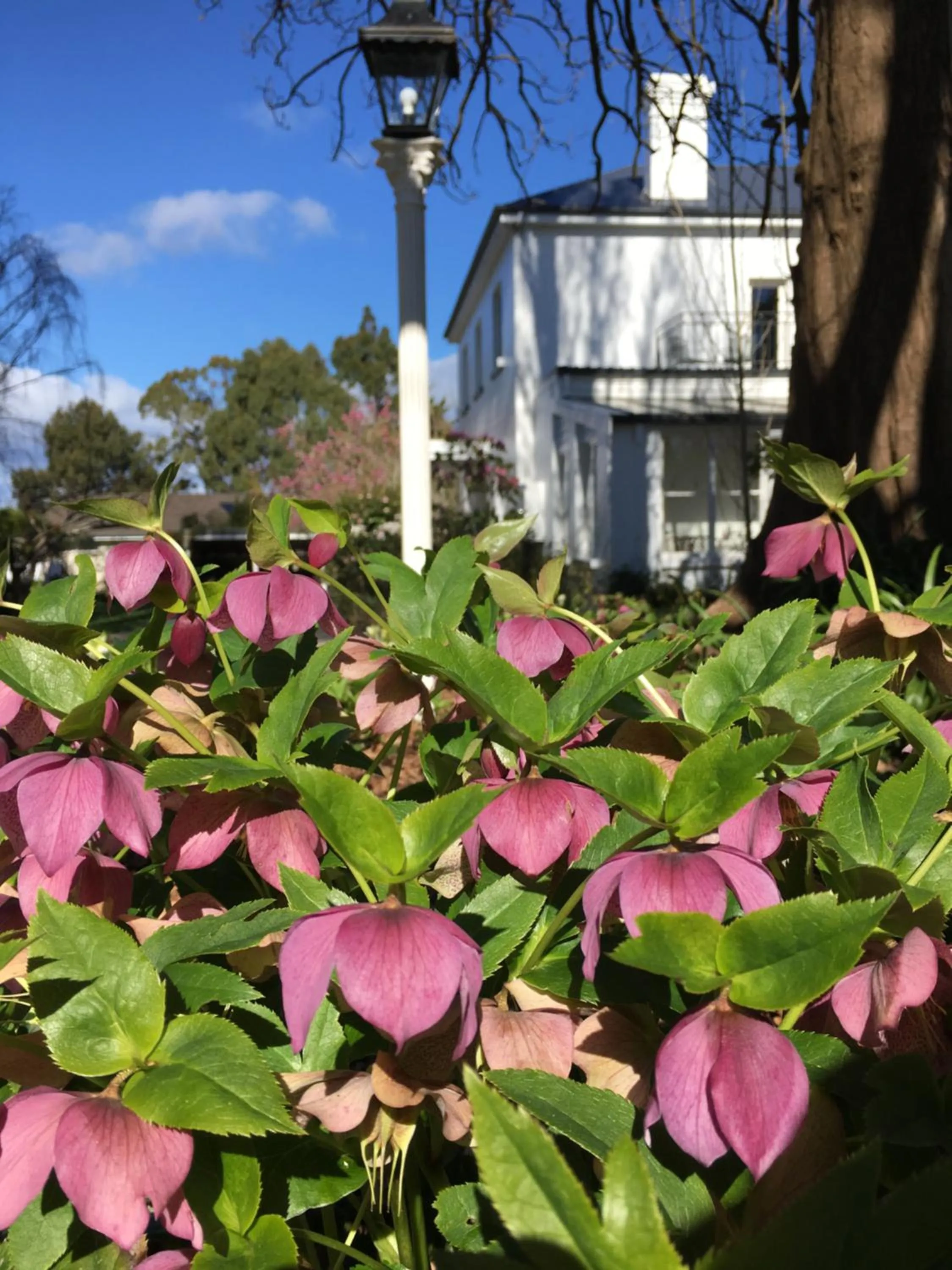 Boscobel of Tasmania