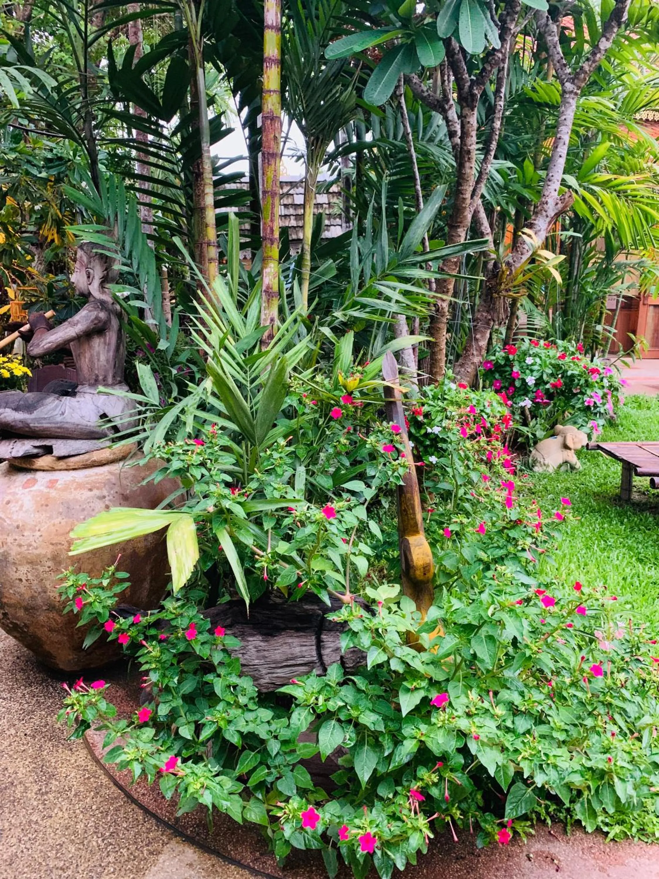 Natural landscape in Hongkhao Village