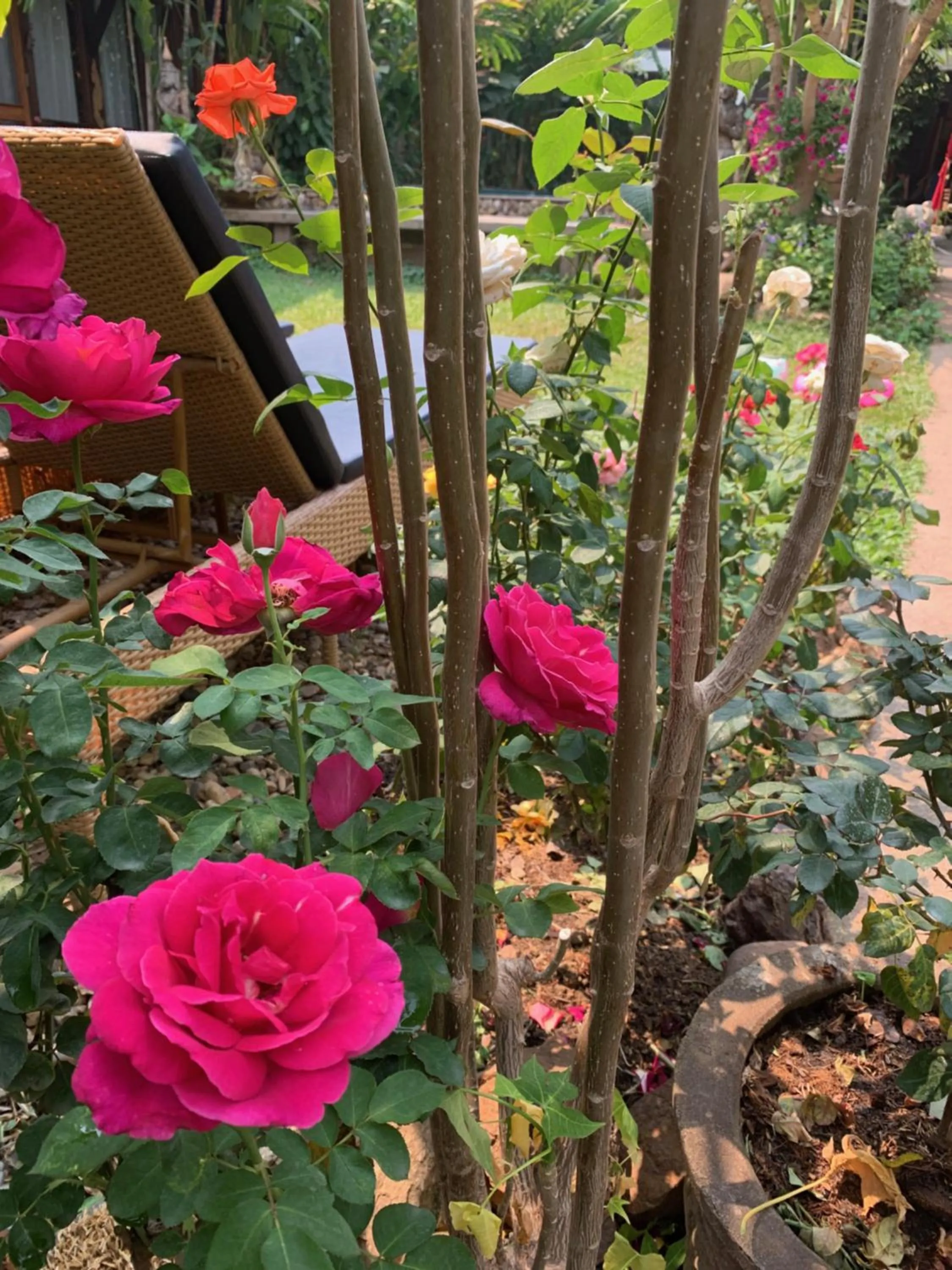 Spring in Hongkhao Village