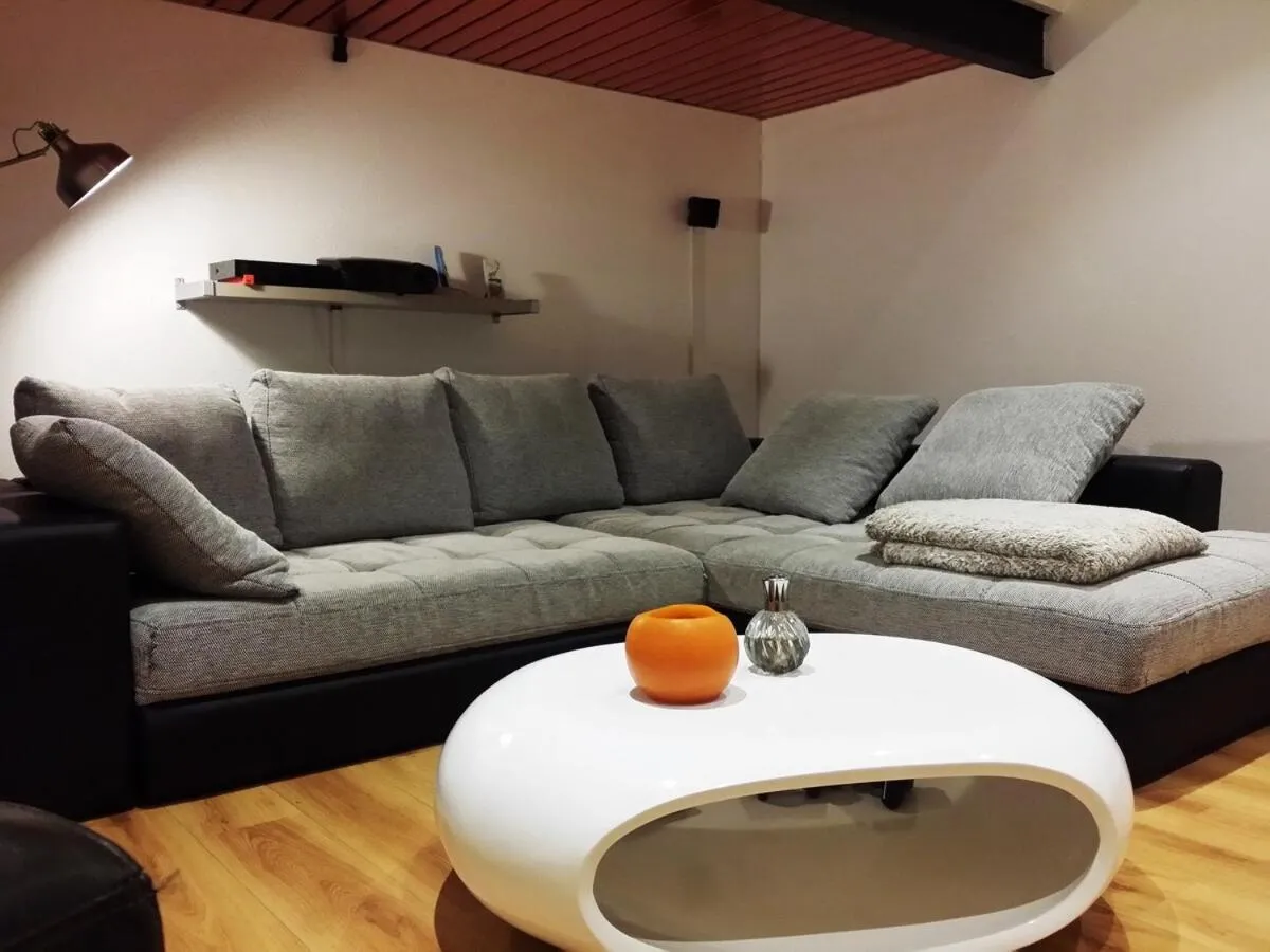 Living room in Colmar Apartment