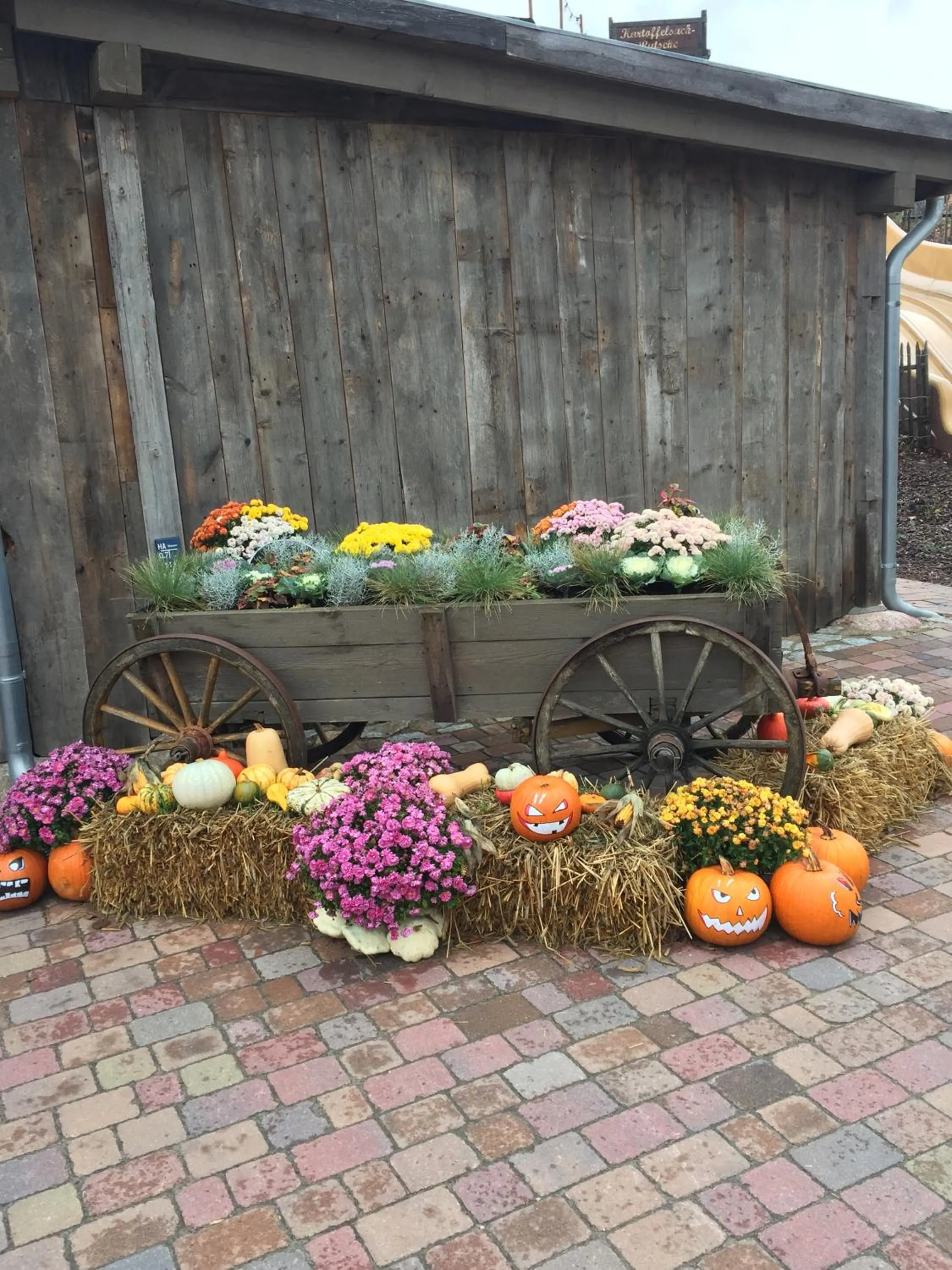 Area and facilities in Bergschlößchen