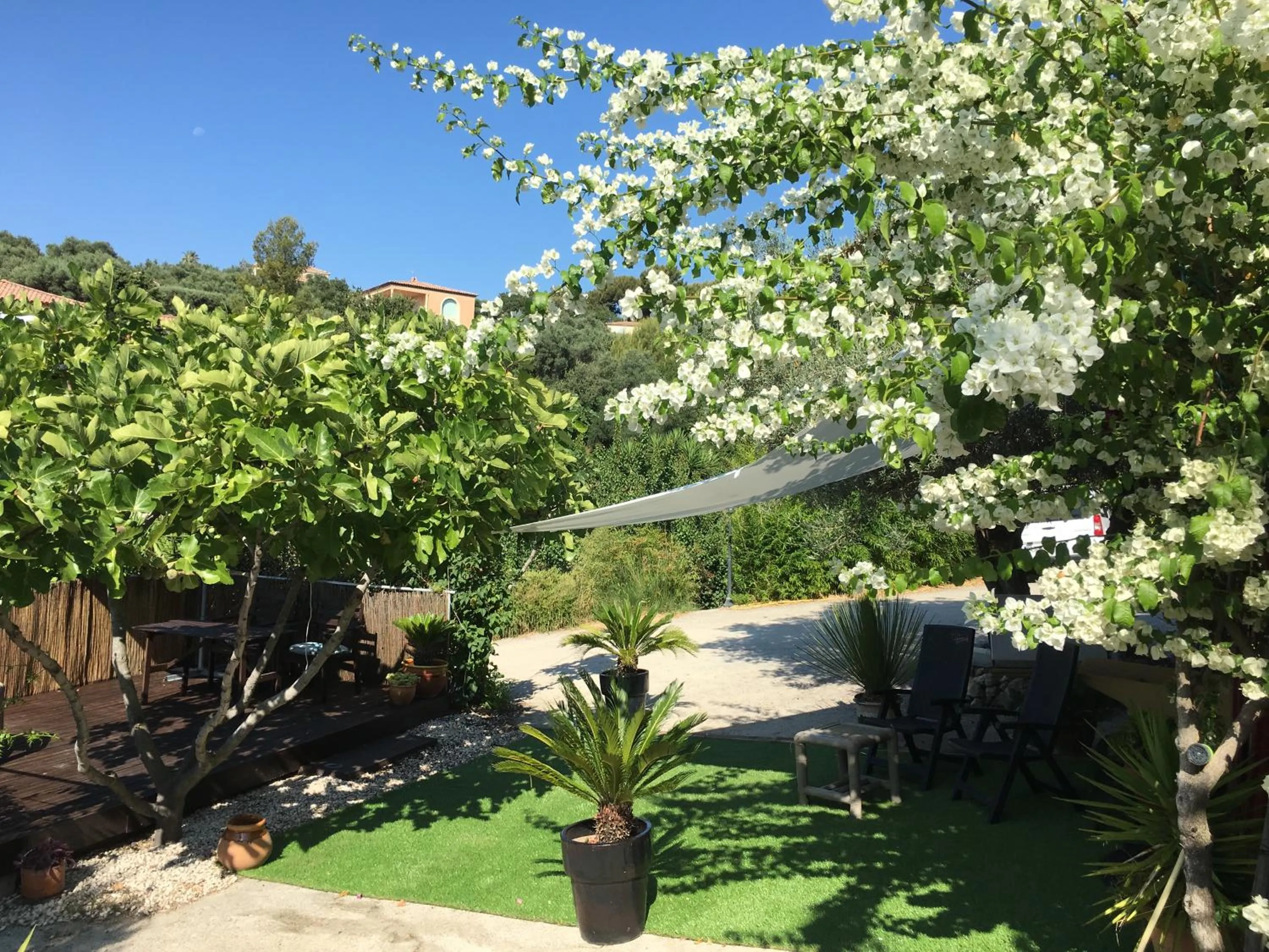 Les terrasses sur mer