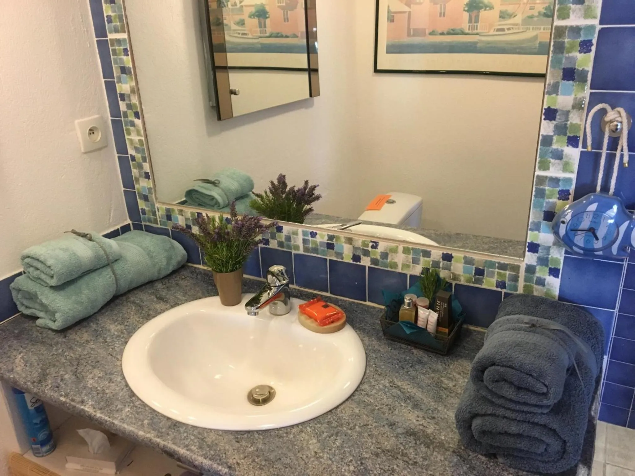 Bathroom in Les terrasses sur mer