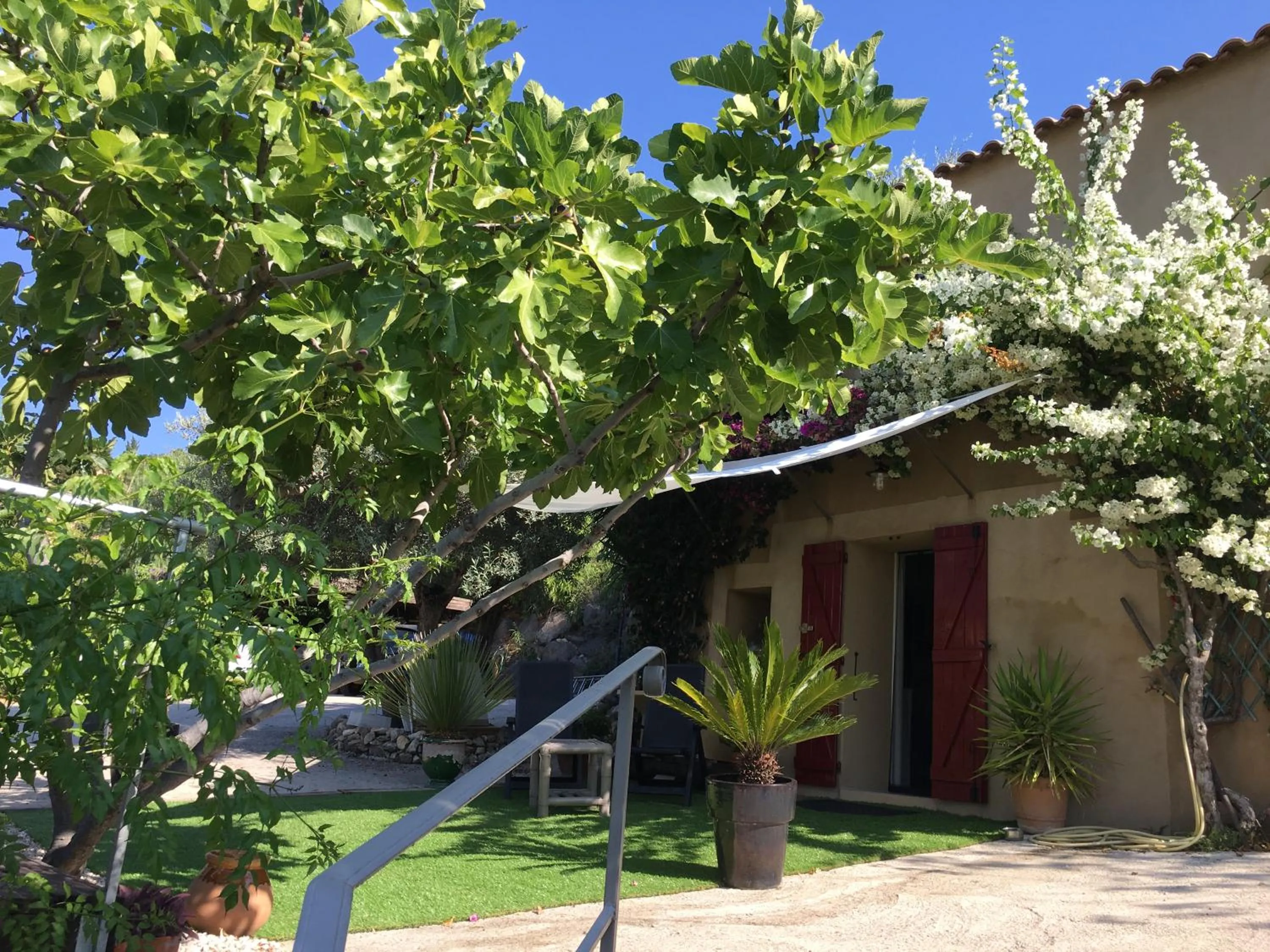 Les terrasses sur mer