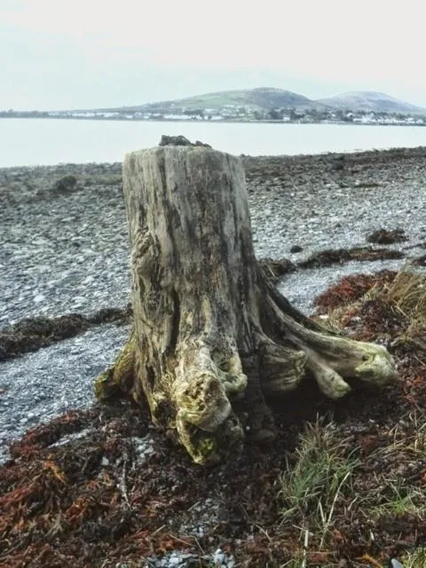 Horizon View Lodge Bed and Breakfast Glanleam Road Knightstown Valentia Island County Kerry V23 W447 Ireland