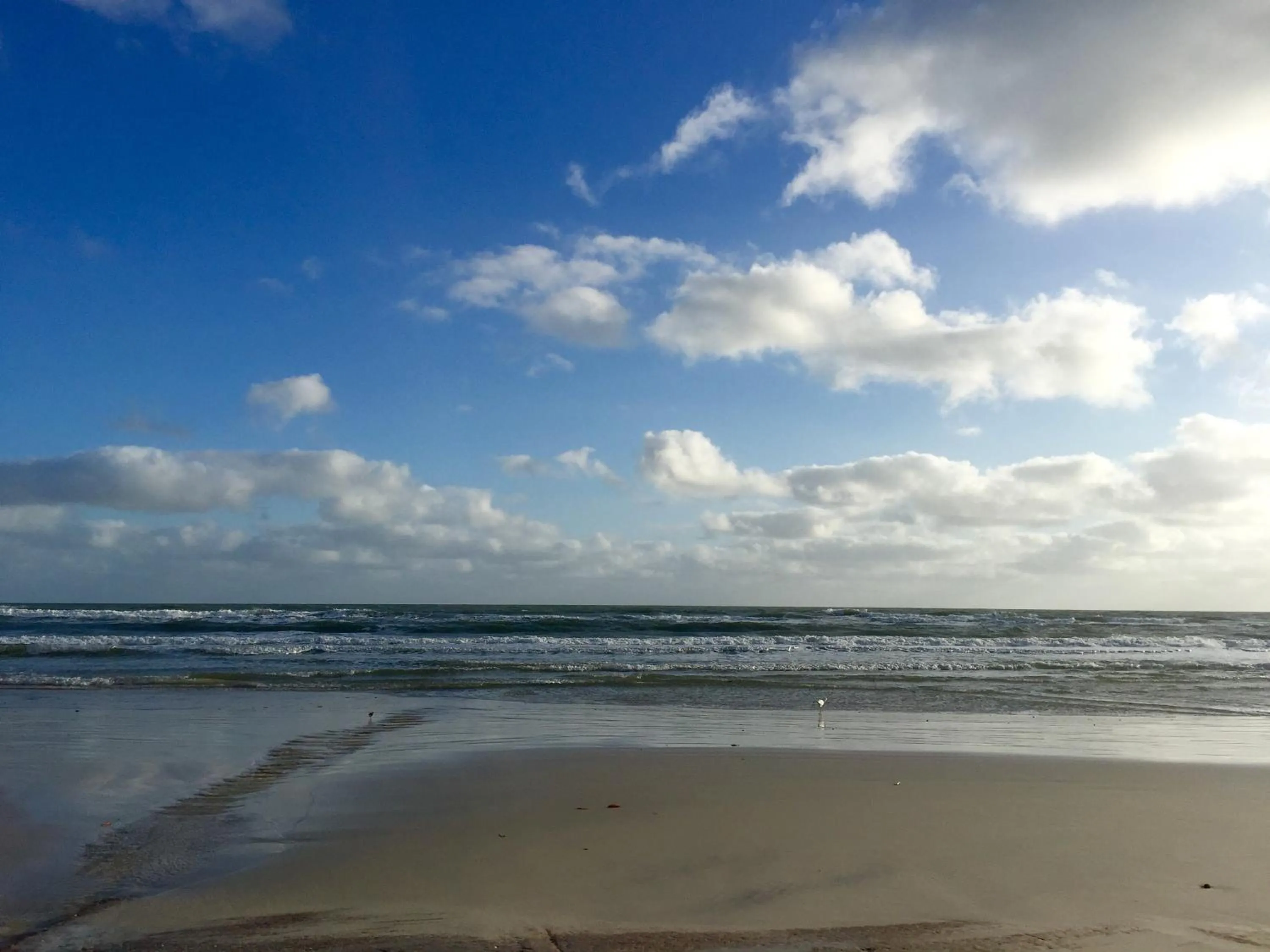 Beach in Hotel Concha do Mar