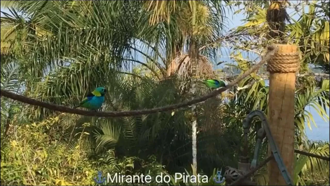 Other in Mirante do Pirata