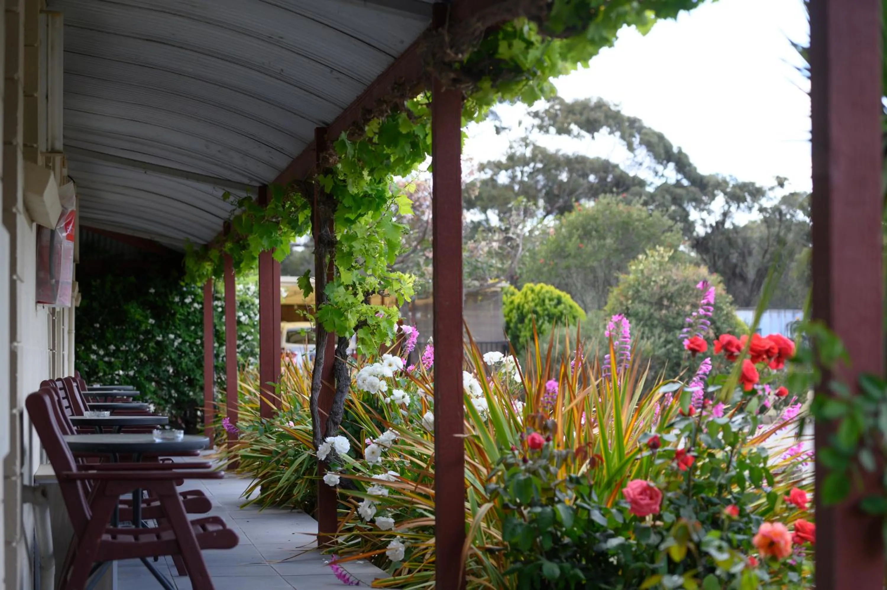 Garden view in Inglewood Motel and Caravan Park Victoria