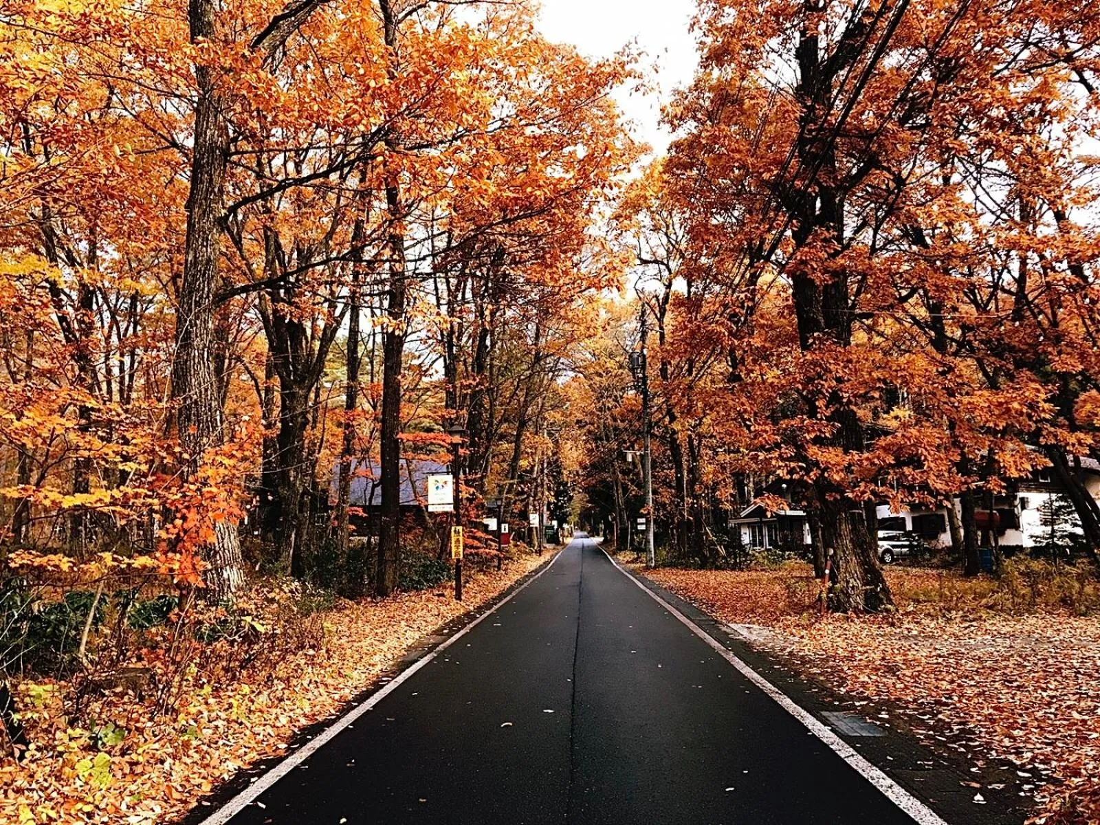 Hakuba Canadian Lodge