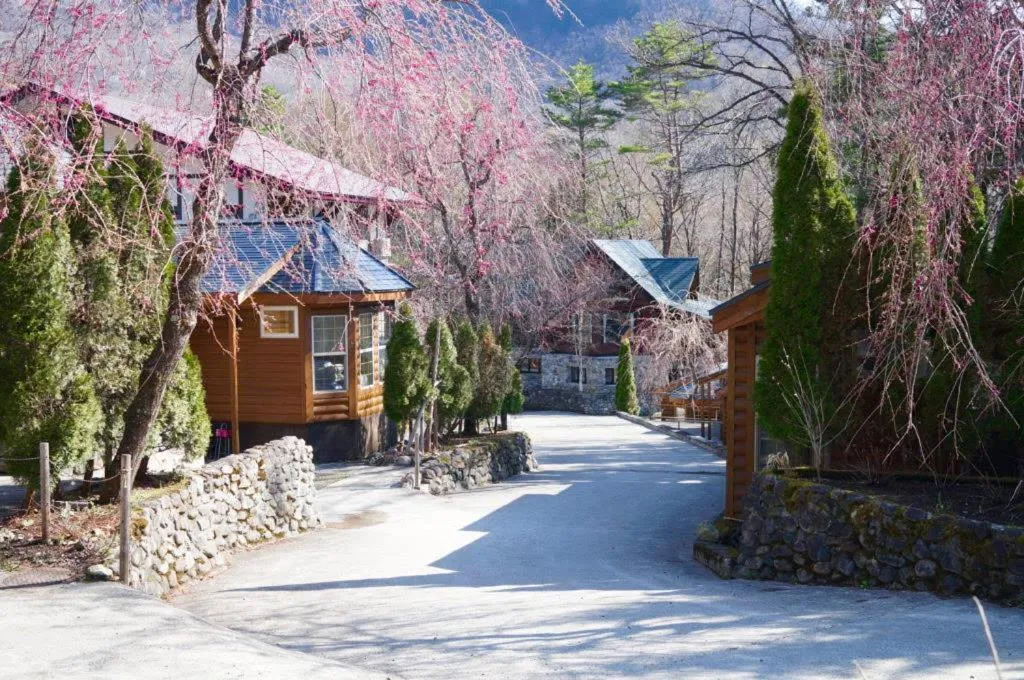 Hakuba Canadian Lodge
