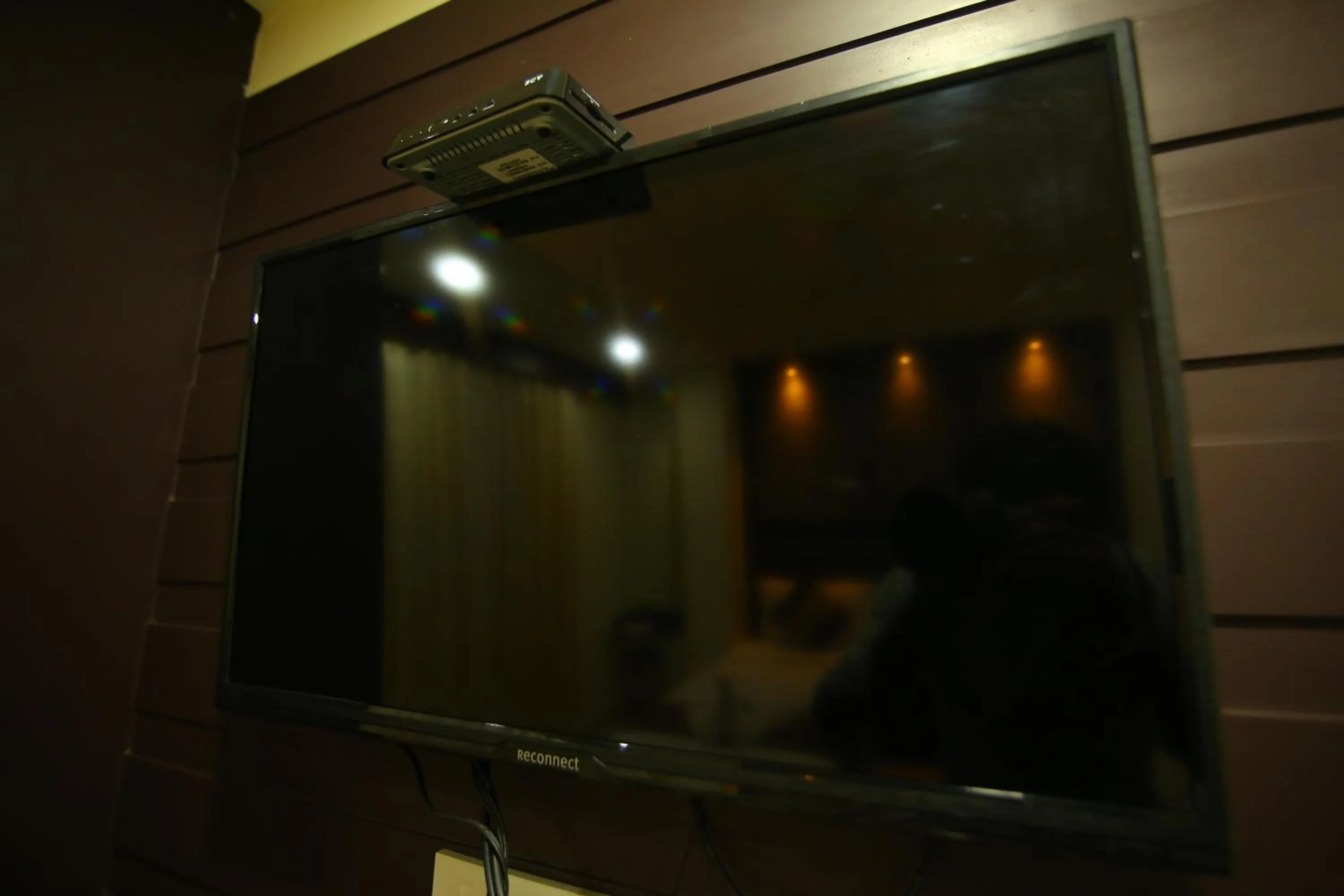 TV and multimedia in Hotel White Mount